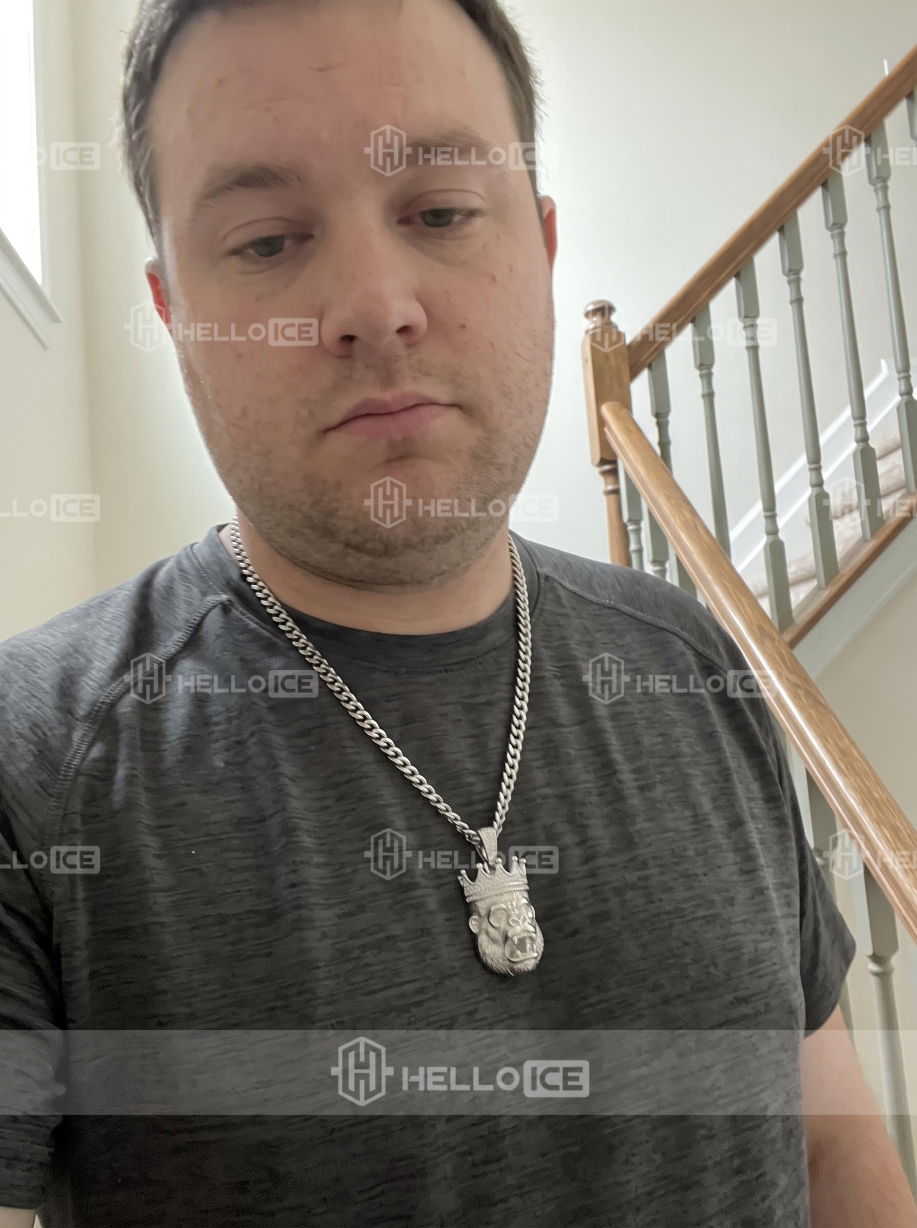 Helloice Review Image