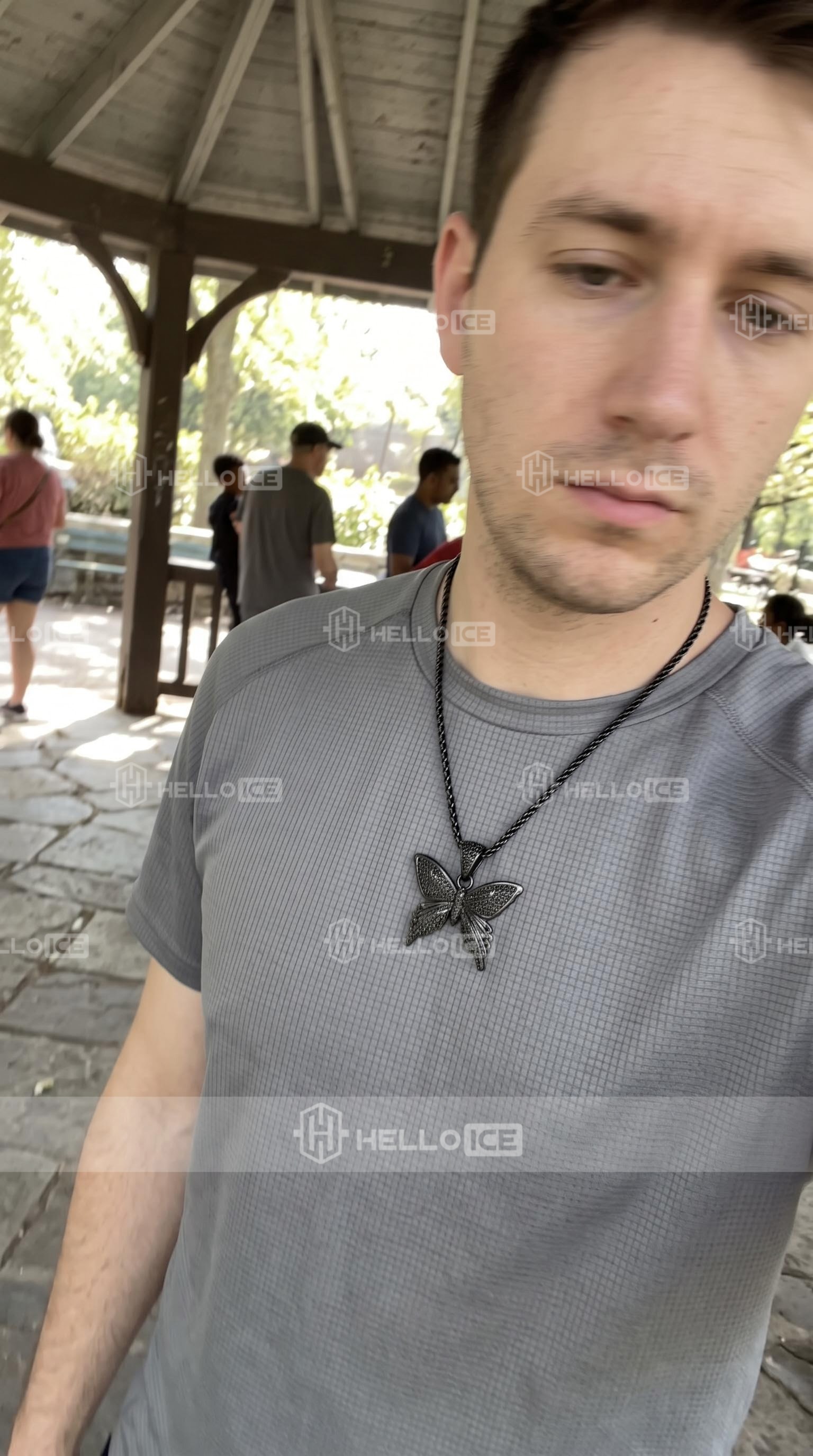 Helloice Review Image