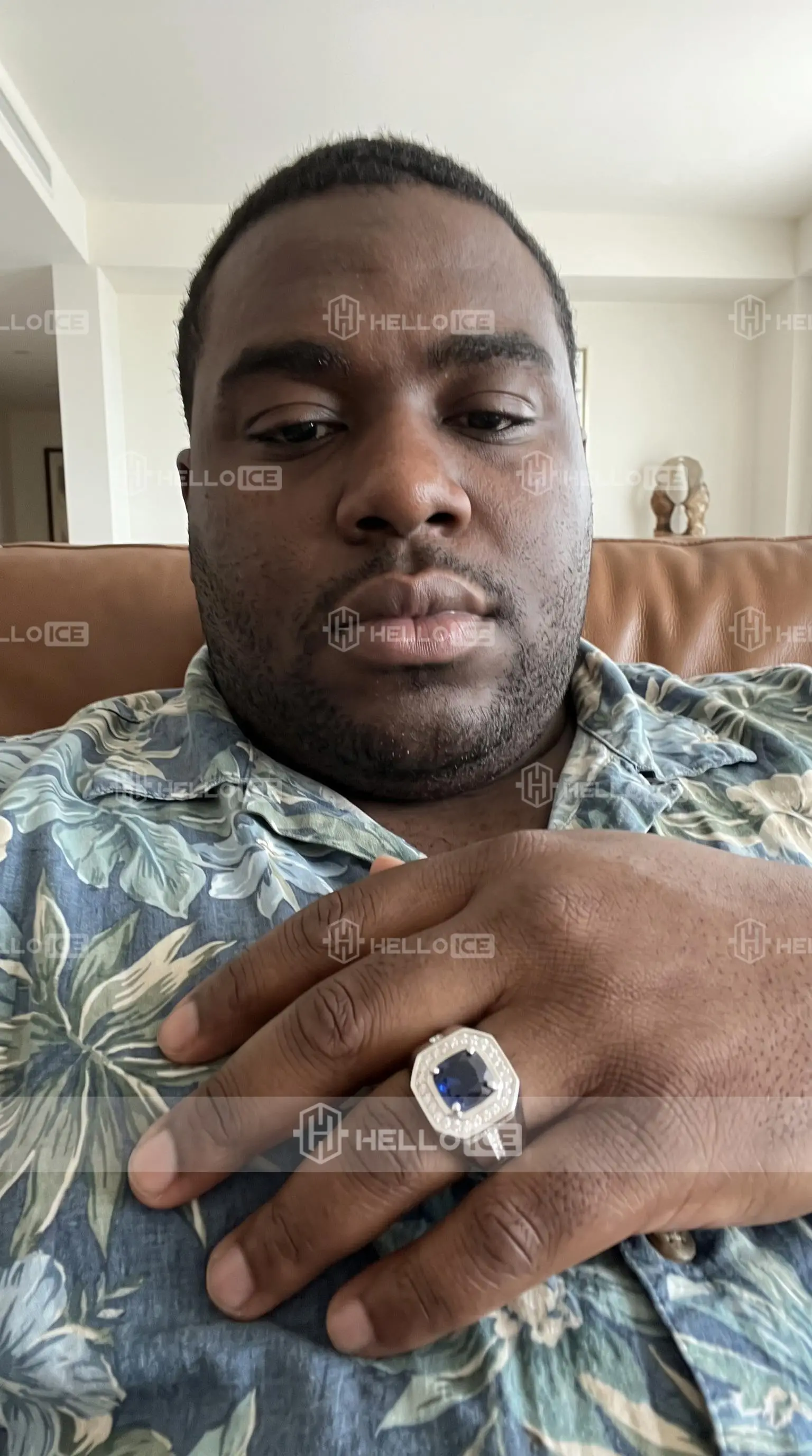 Helloice Review Image