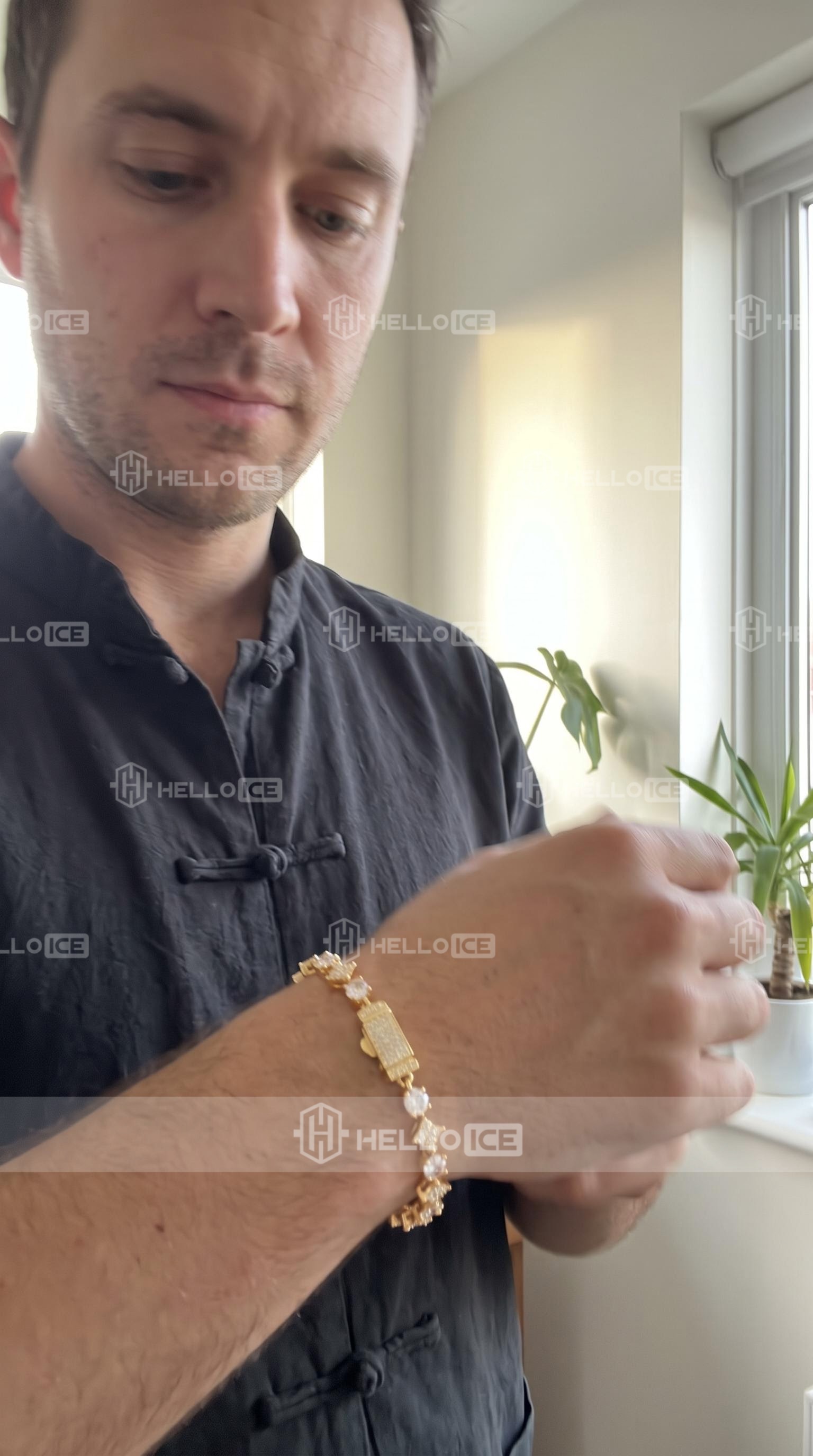 Helloice Review Image