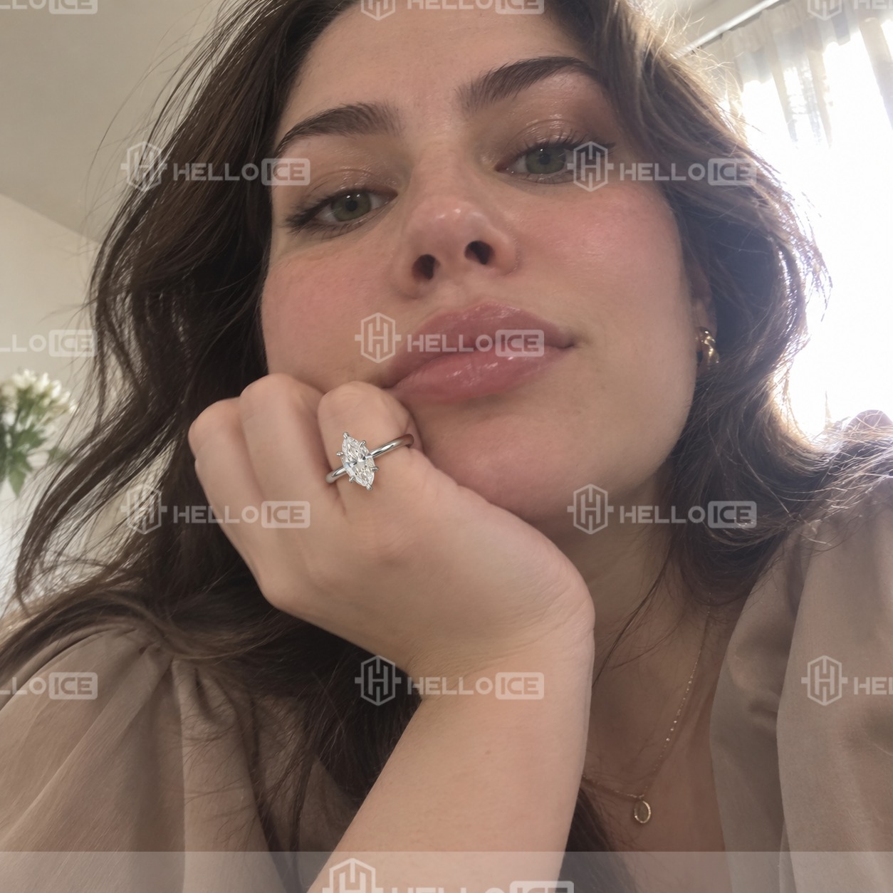 Helloice Review Image