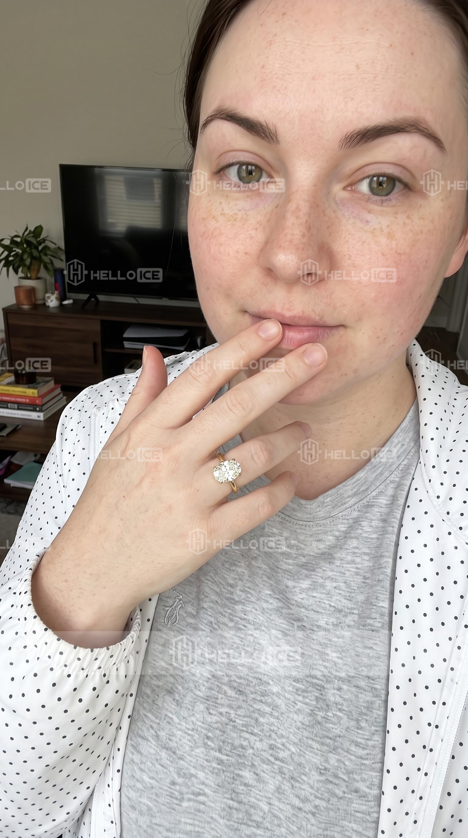Helloice Review Image