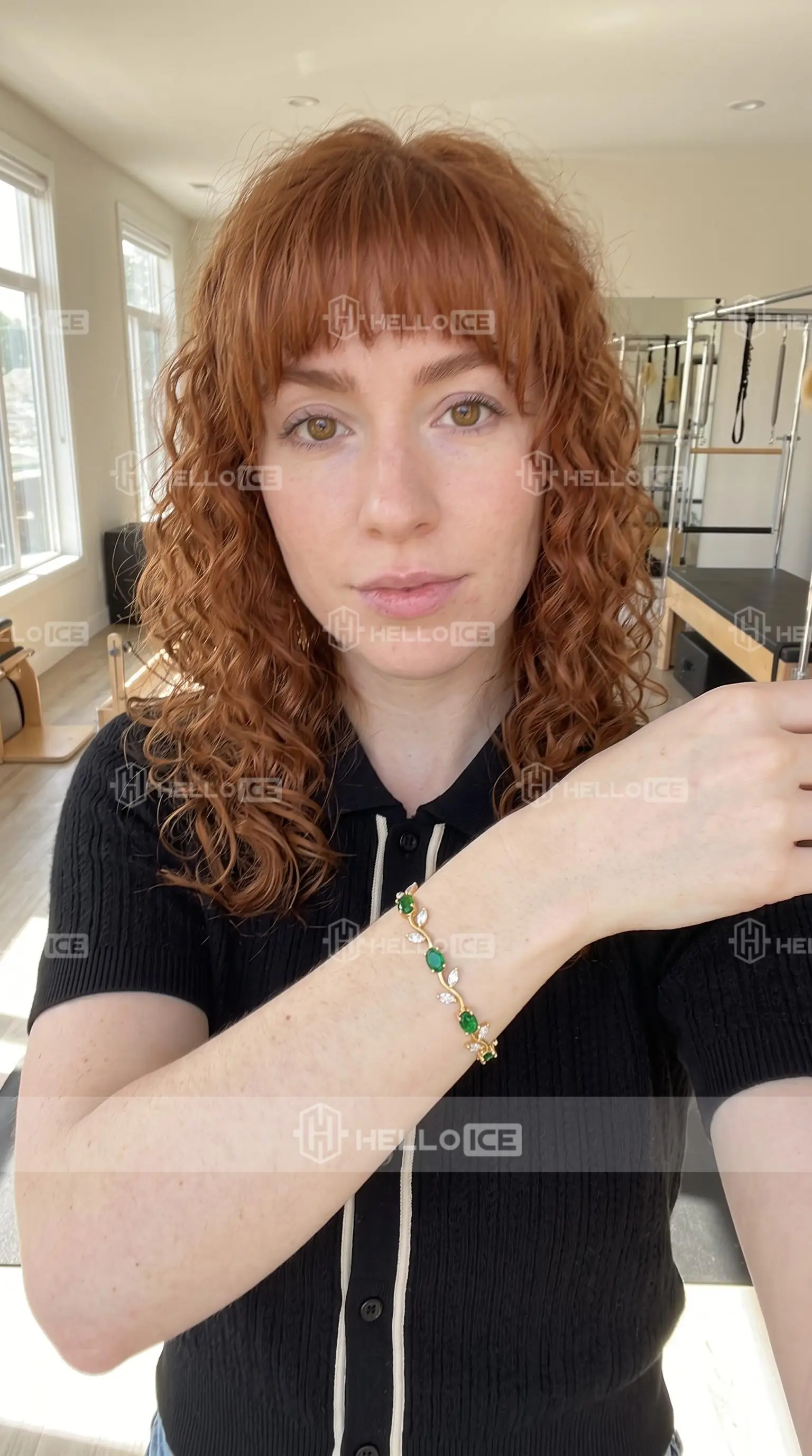 Helloice Review Image