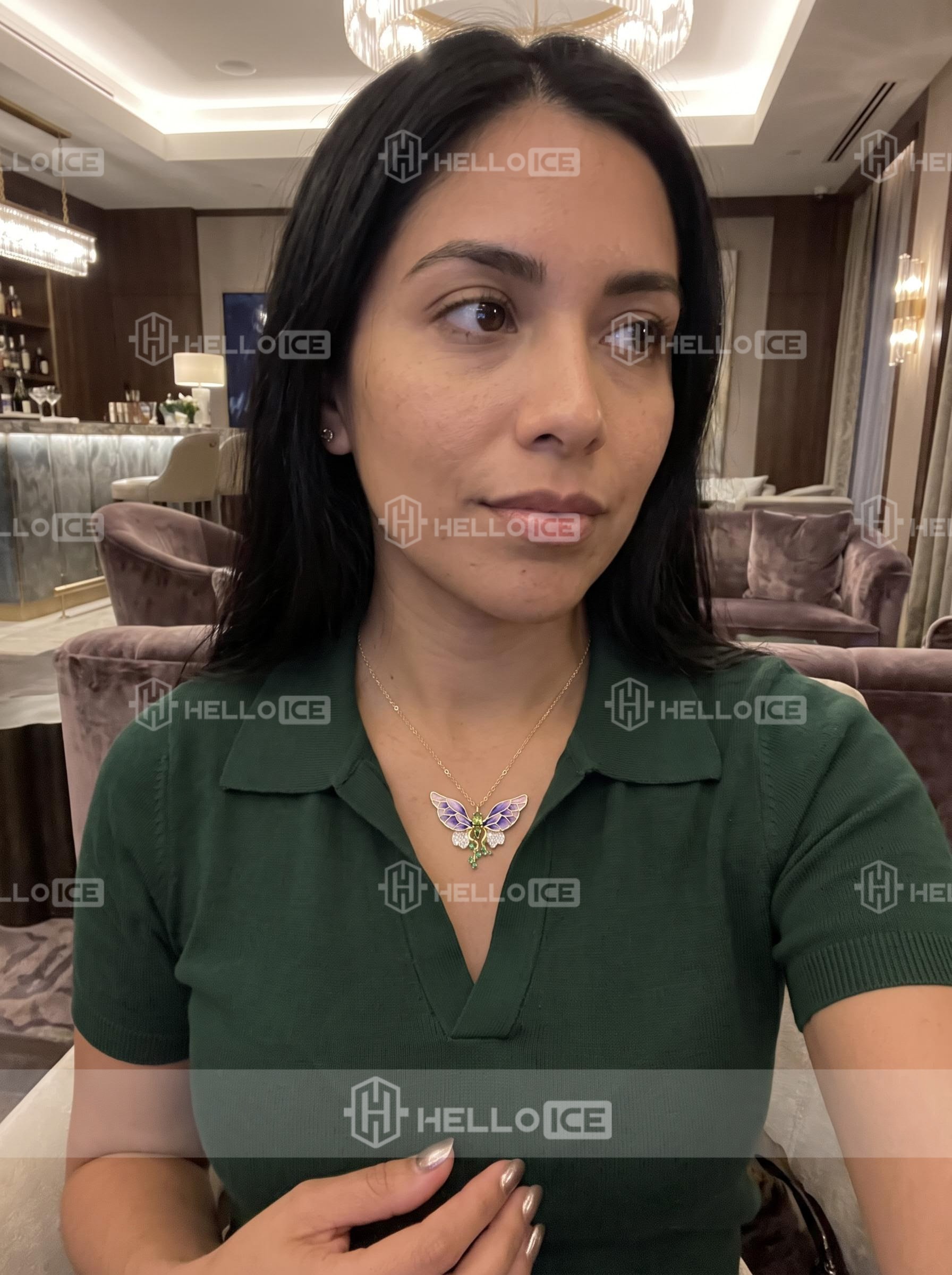 Helloice Review Image