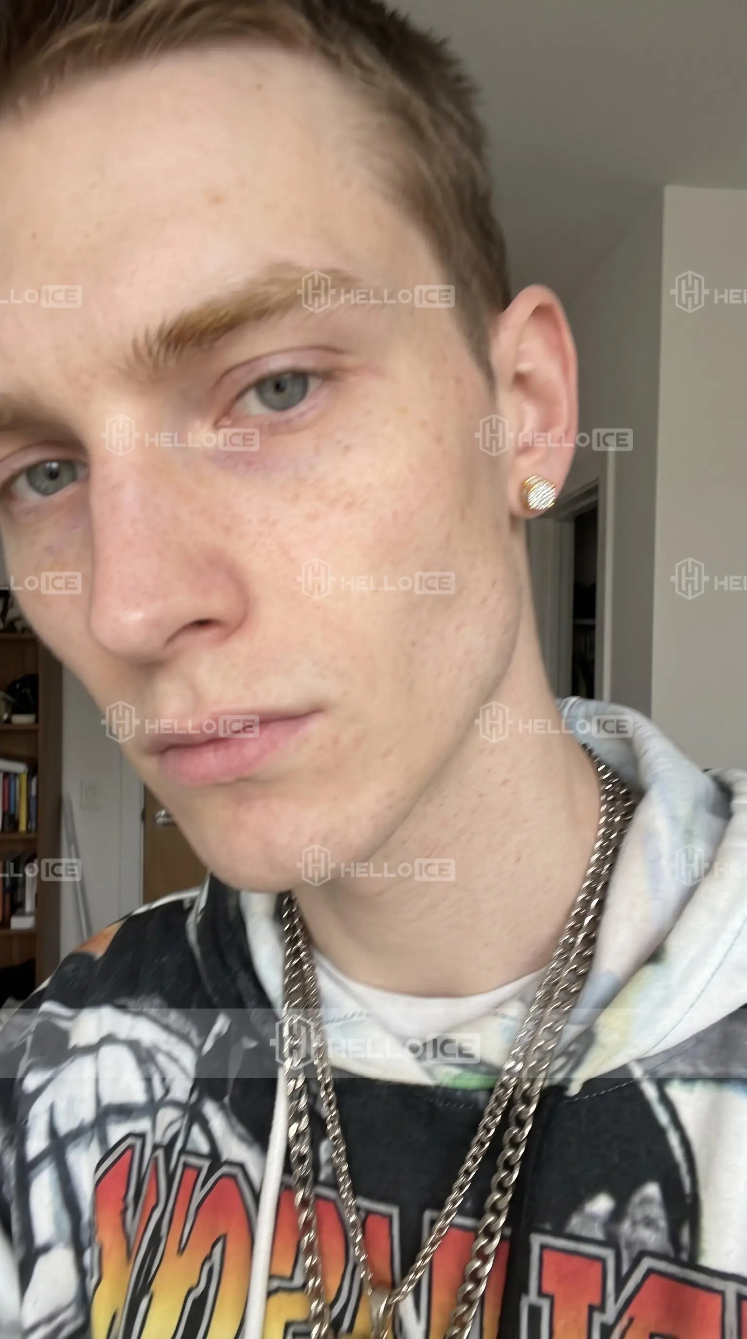 Helloice Review Image