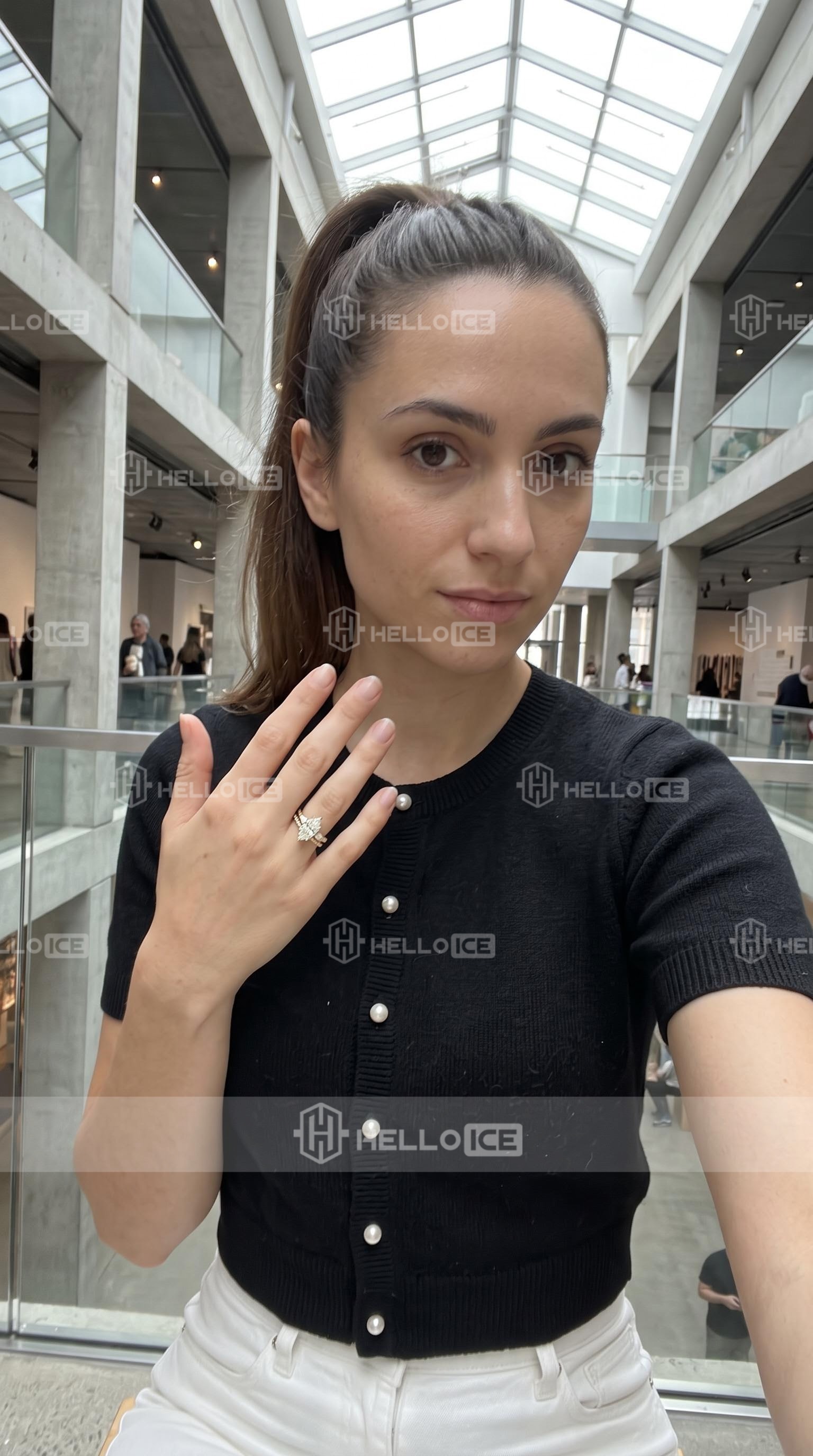 Helloice Review Image