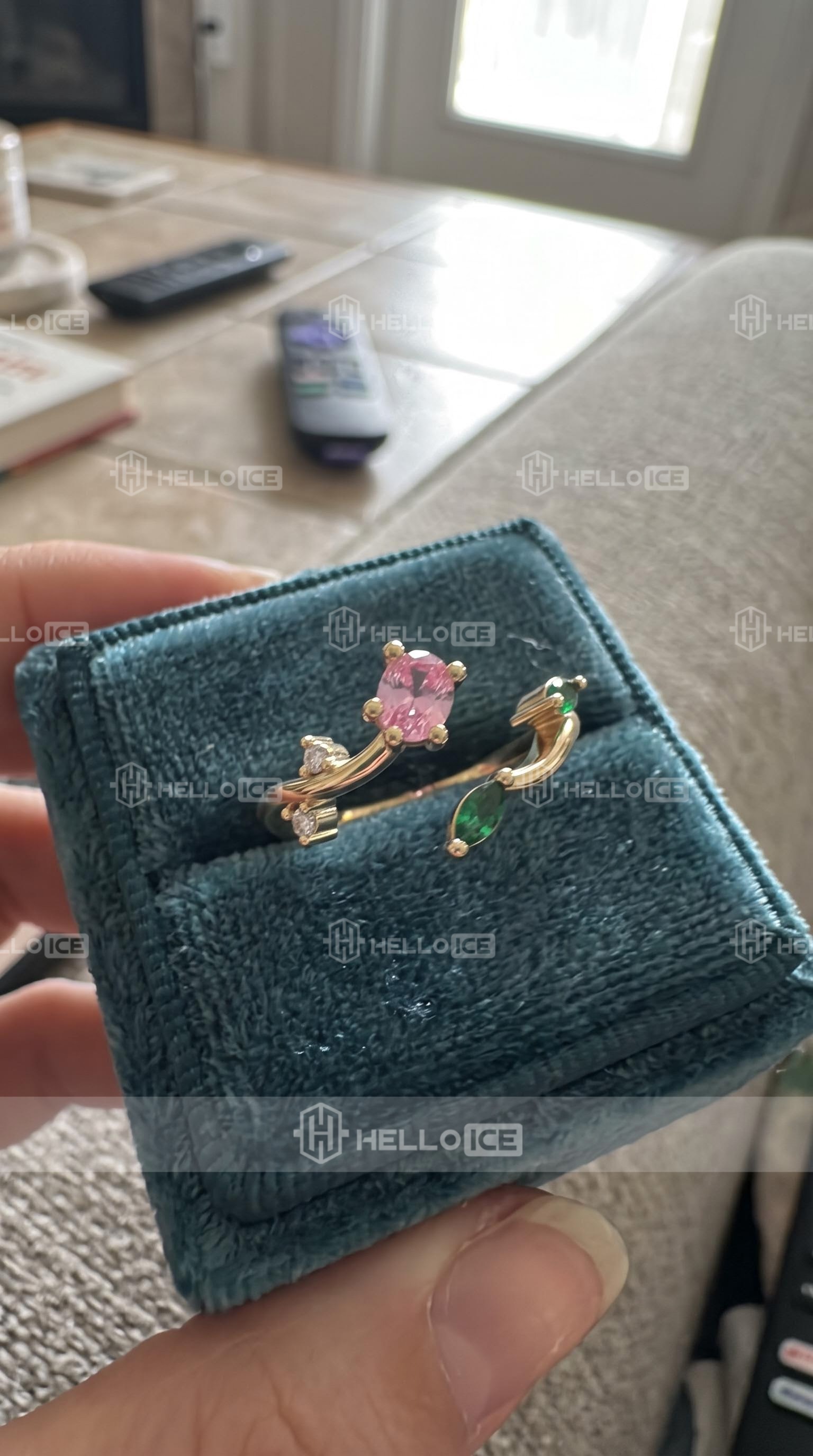 Helloice Review Image