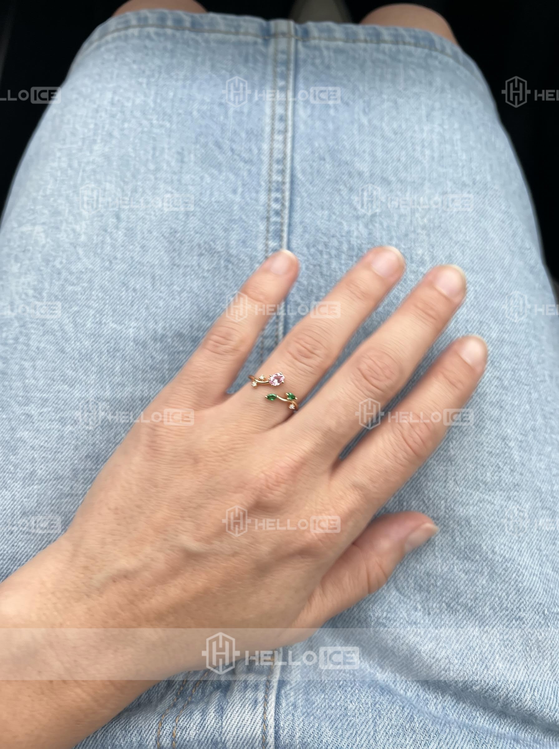 Helloice Review Image