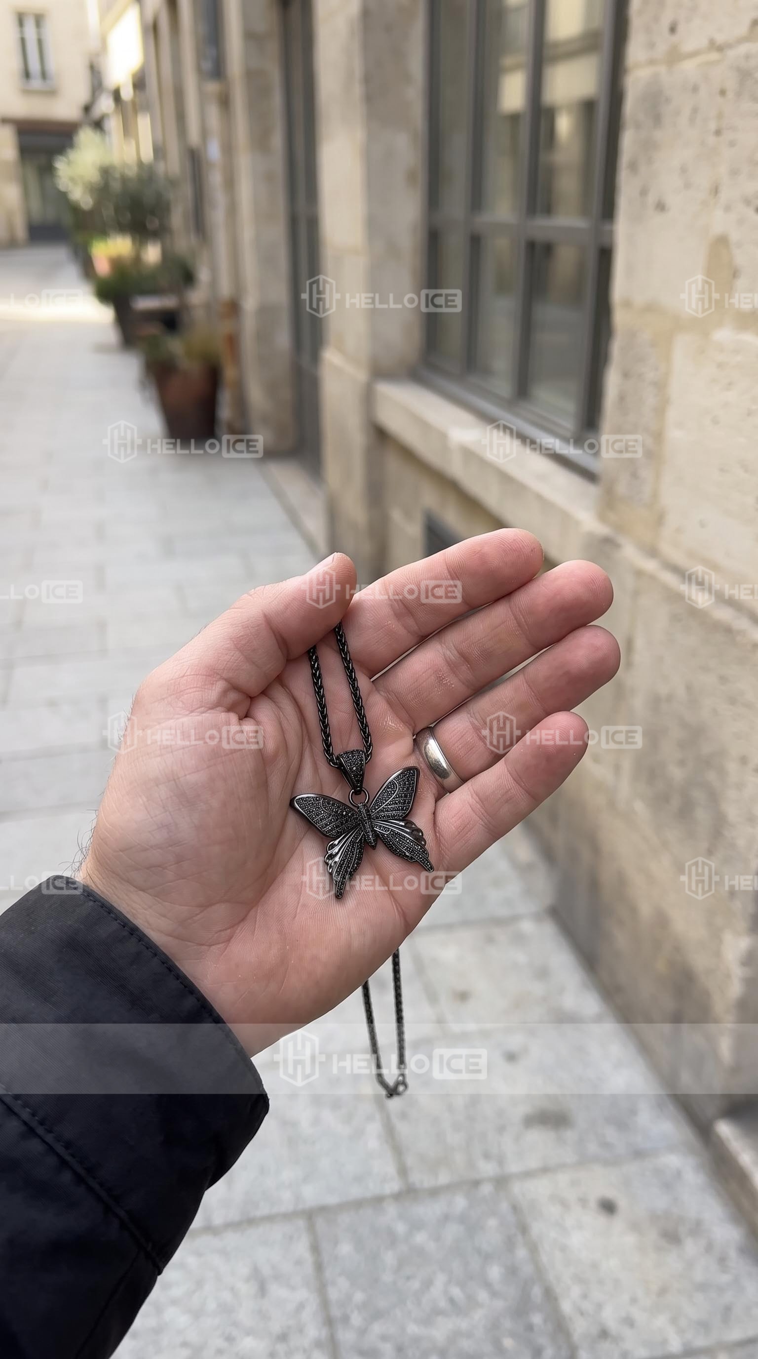 Helloice Review Image