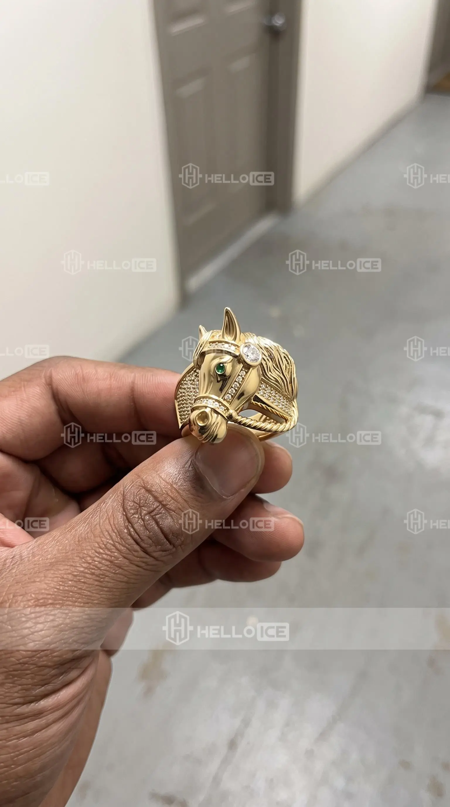 Helloice Review Image