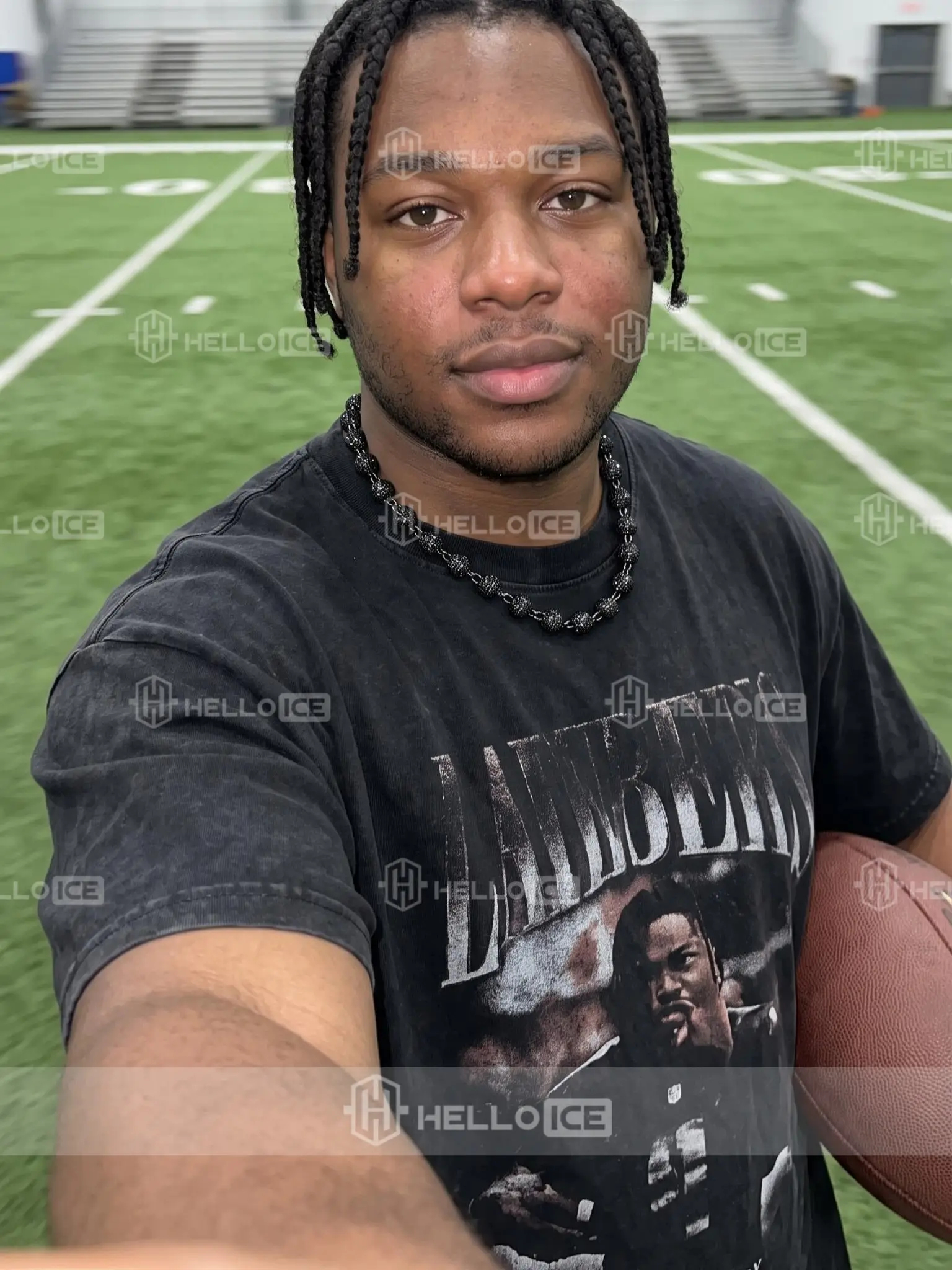 Helloice Review Image