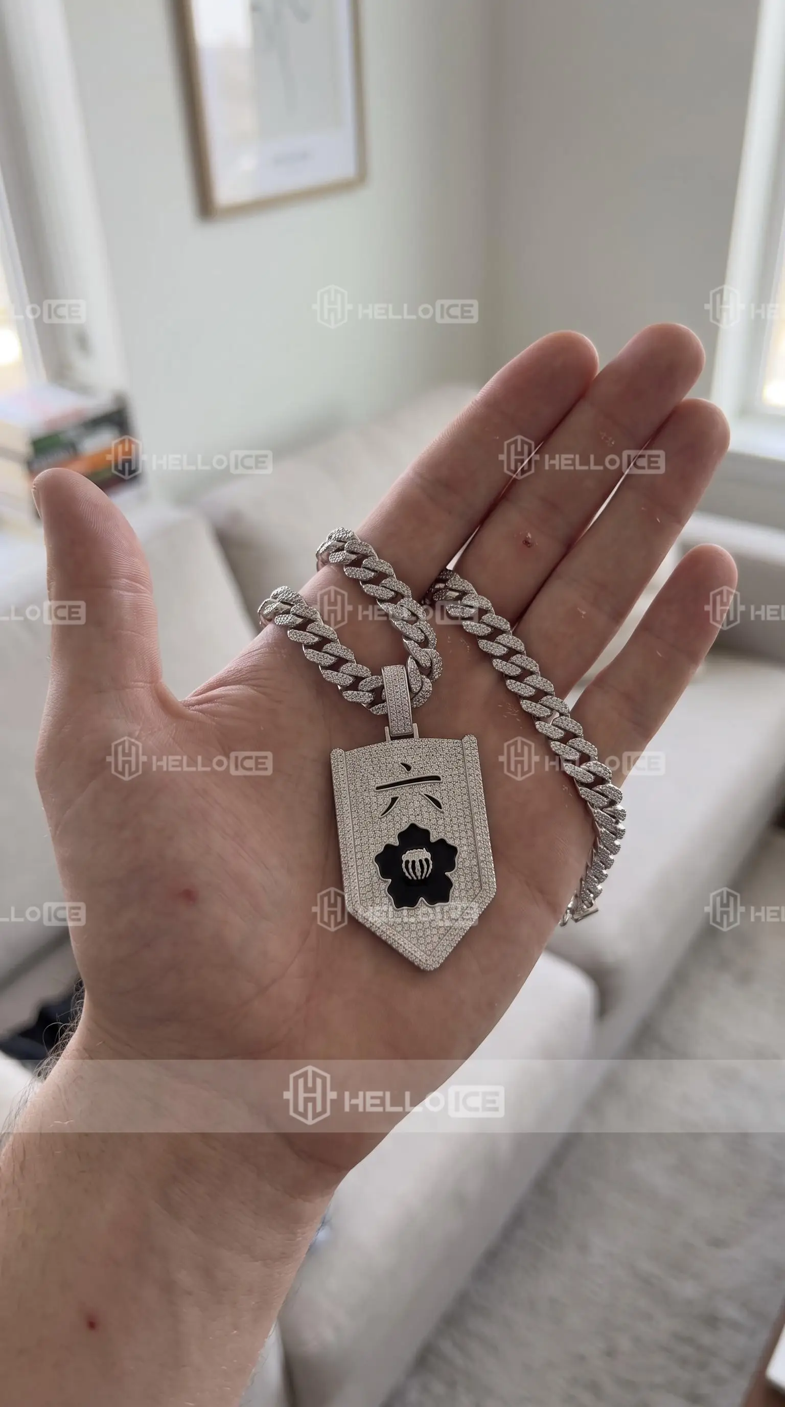 Helloice Review Image