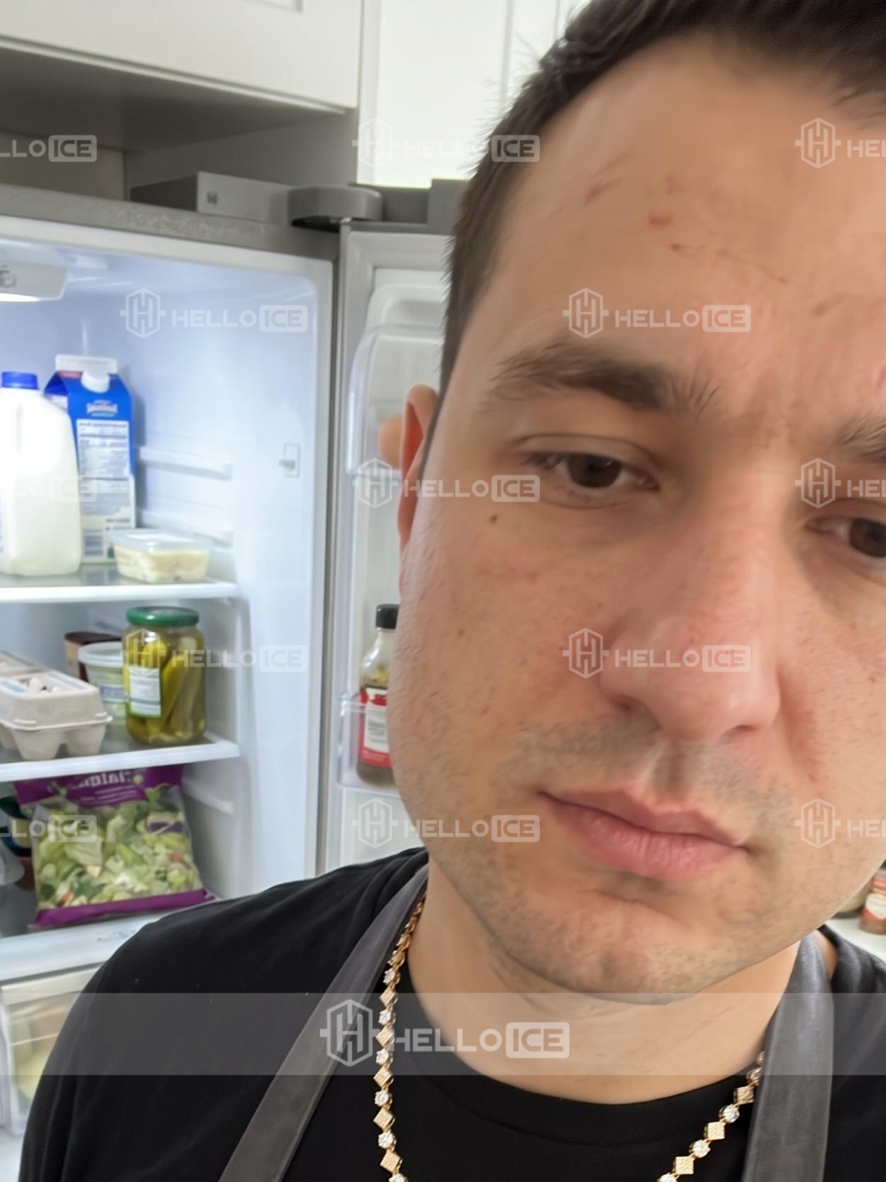 Helloice Review Image
