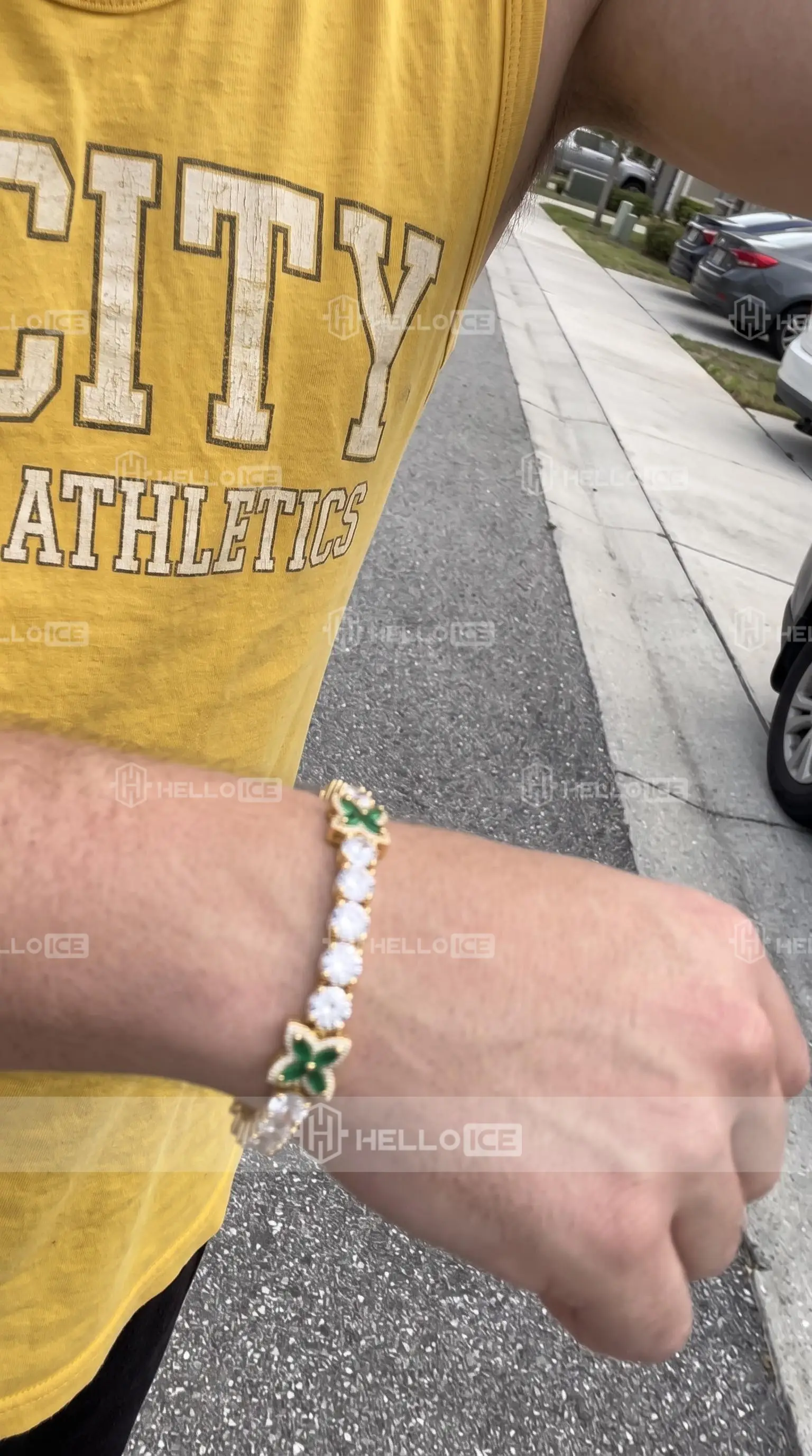 Helloice Review Image