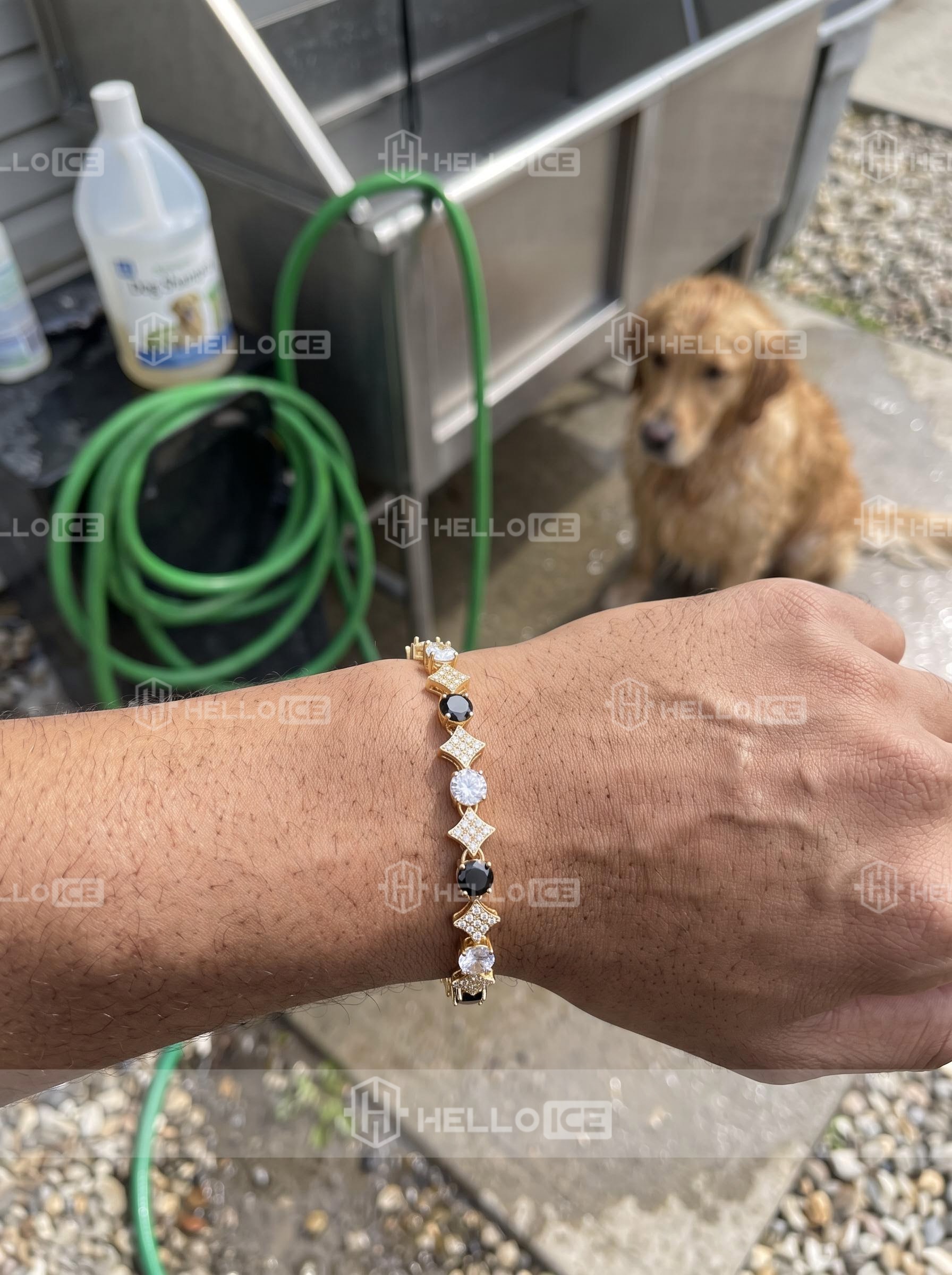 Helloice Review Image