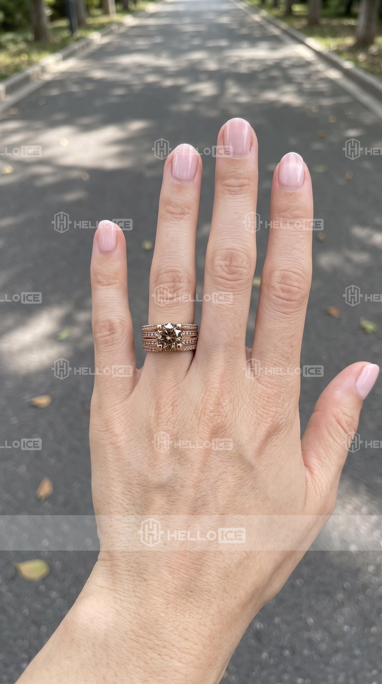 Helloice Review Image