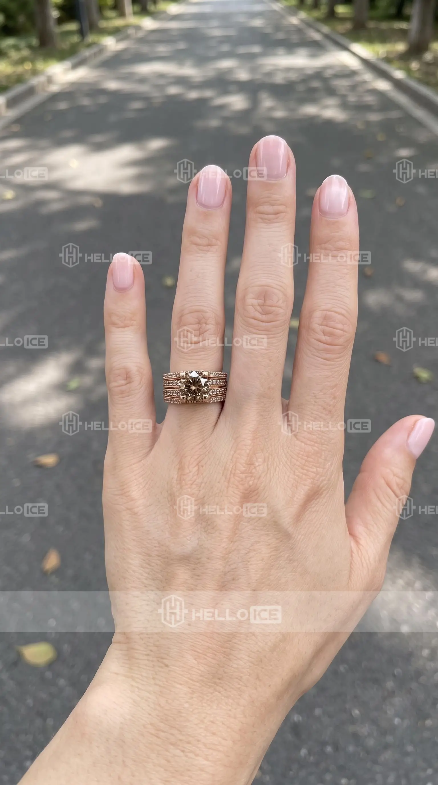 Helloice Review Image