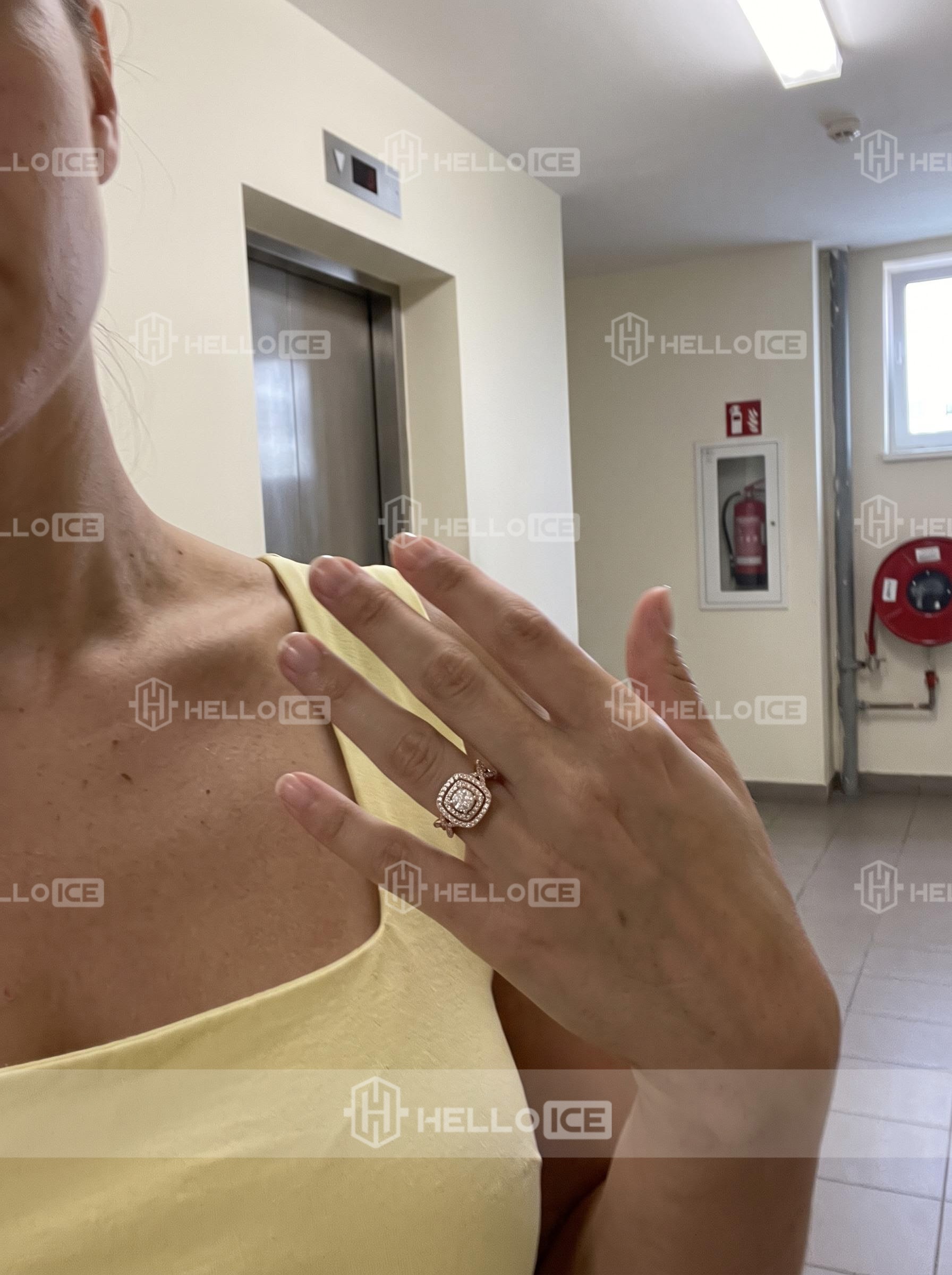 Helloice Review Image