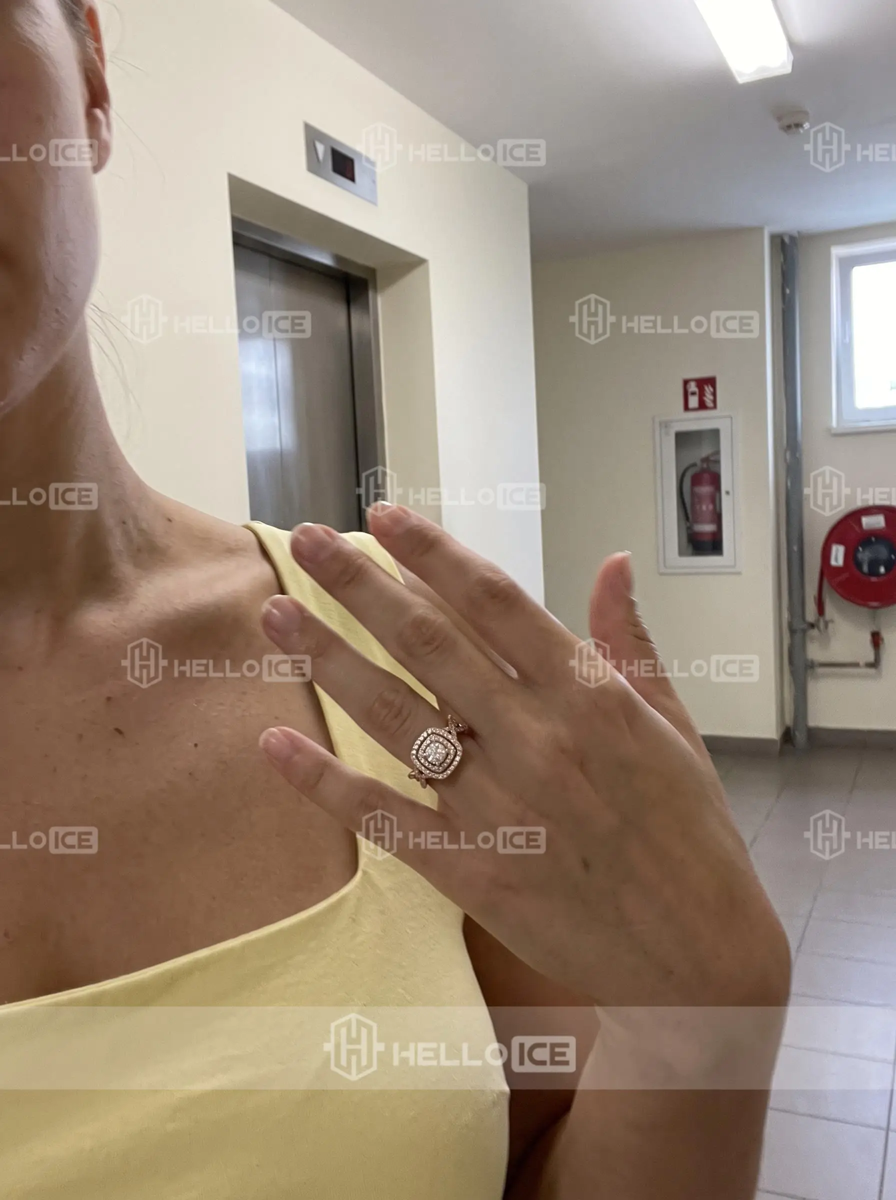 Helloice Review Image