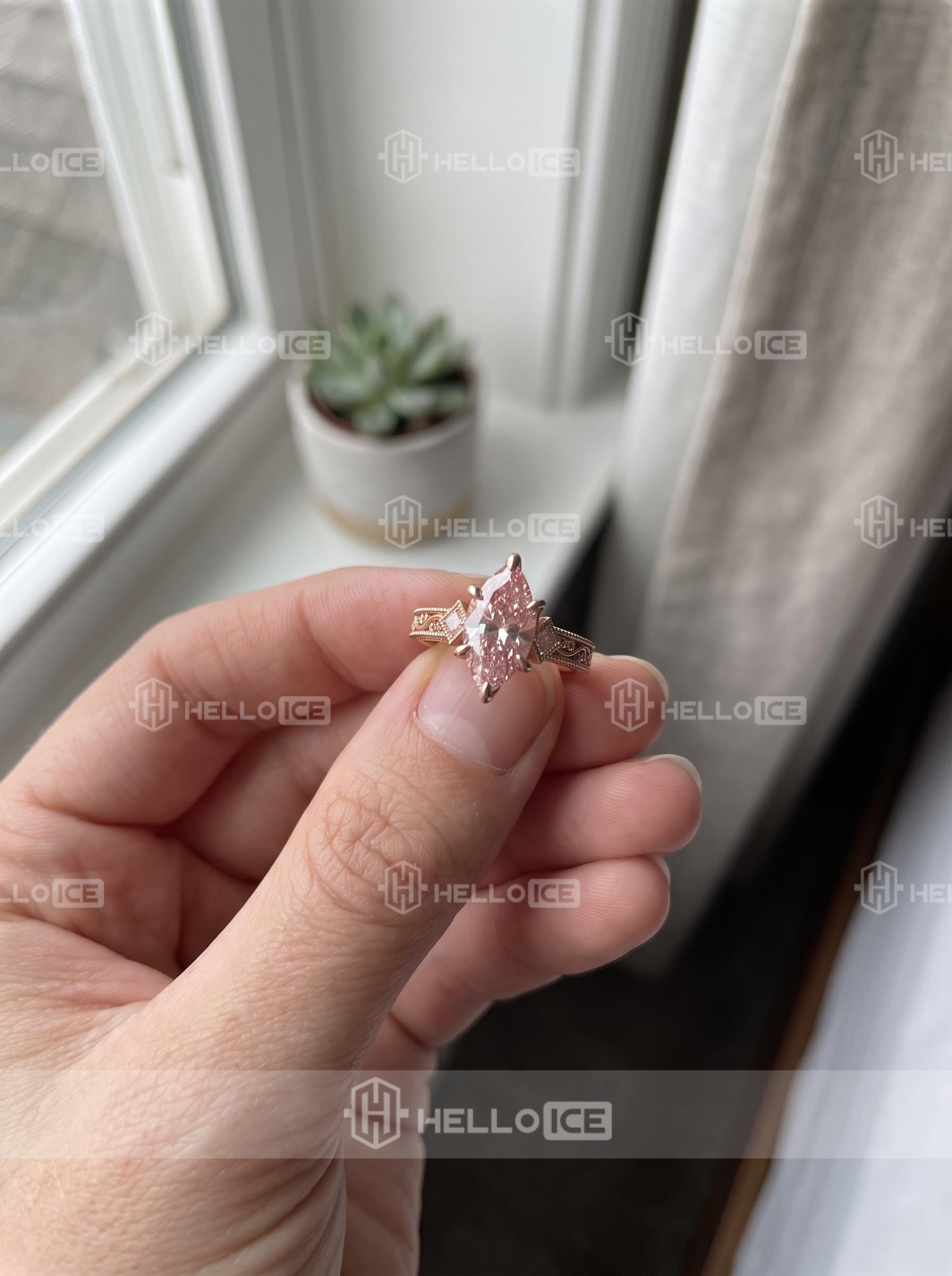 Helloice Review Image