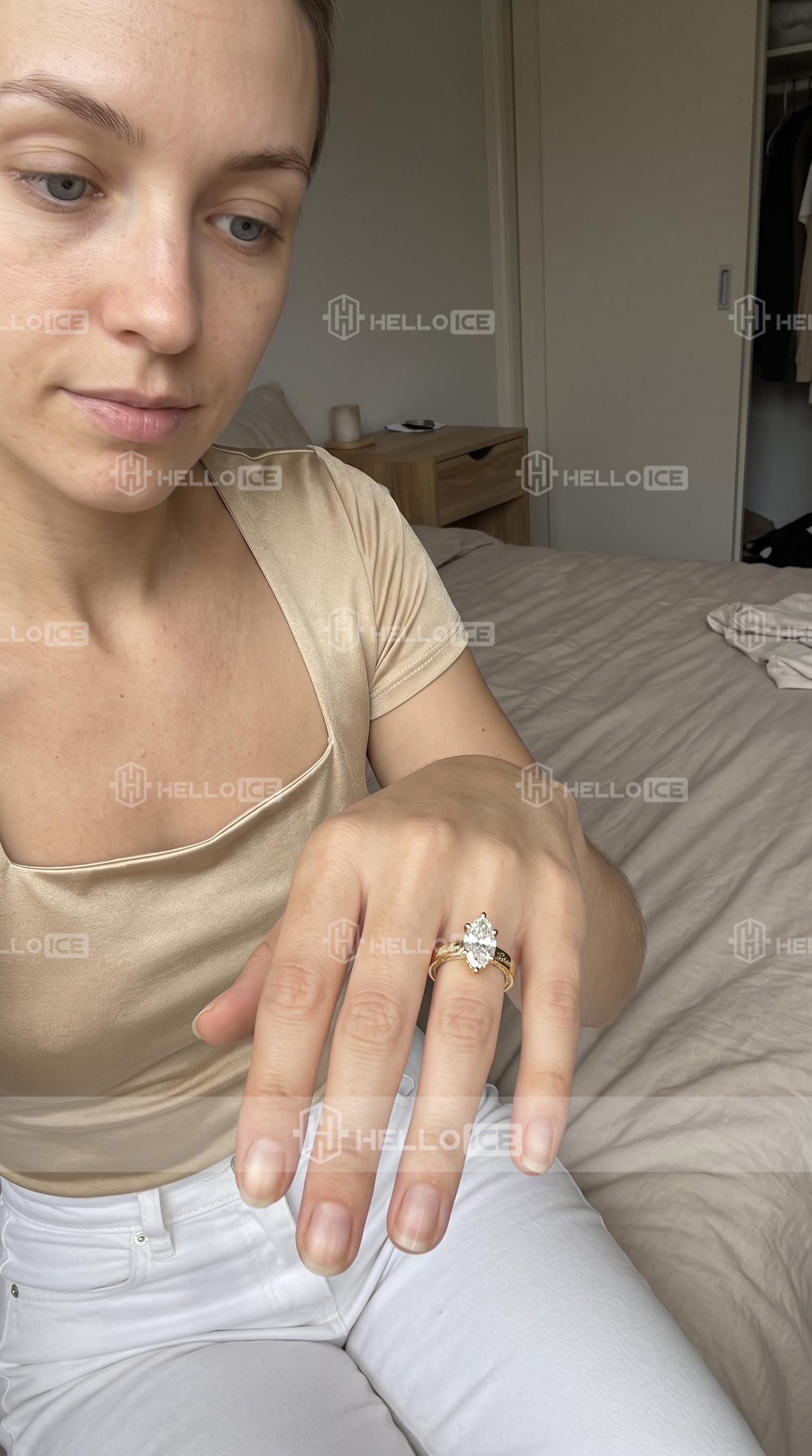 Helloice Review Image