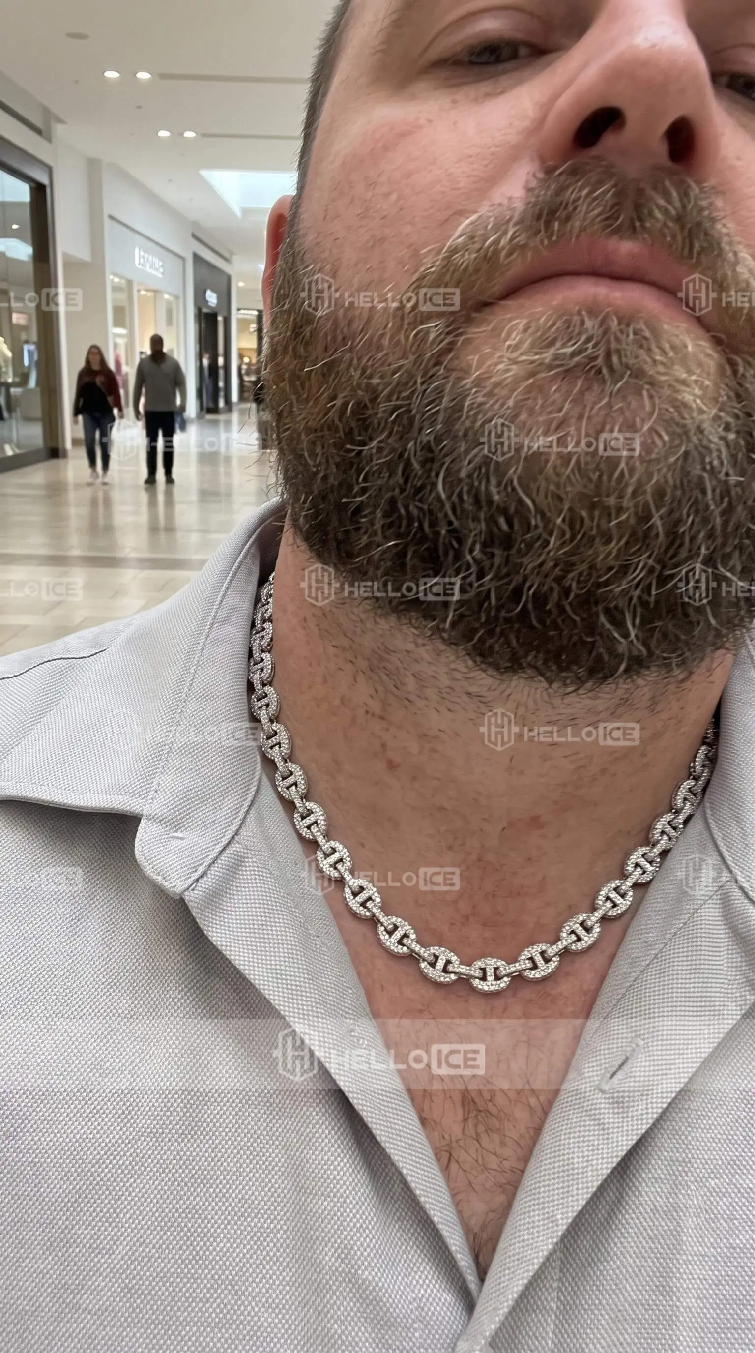 Helloice Review Image