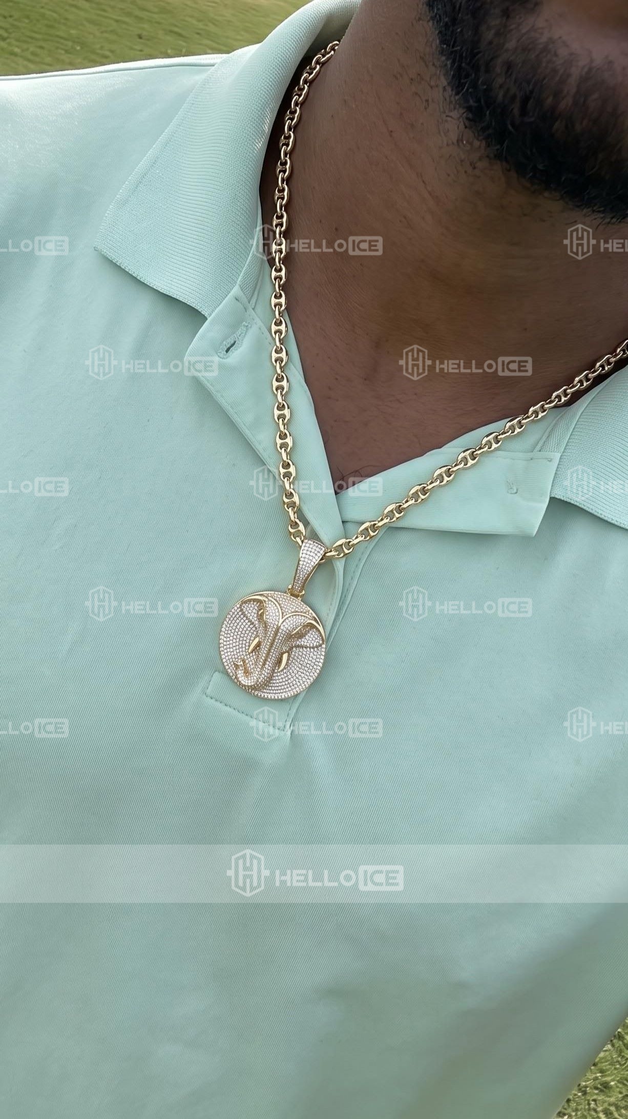 Helloice Review Image