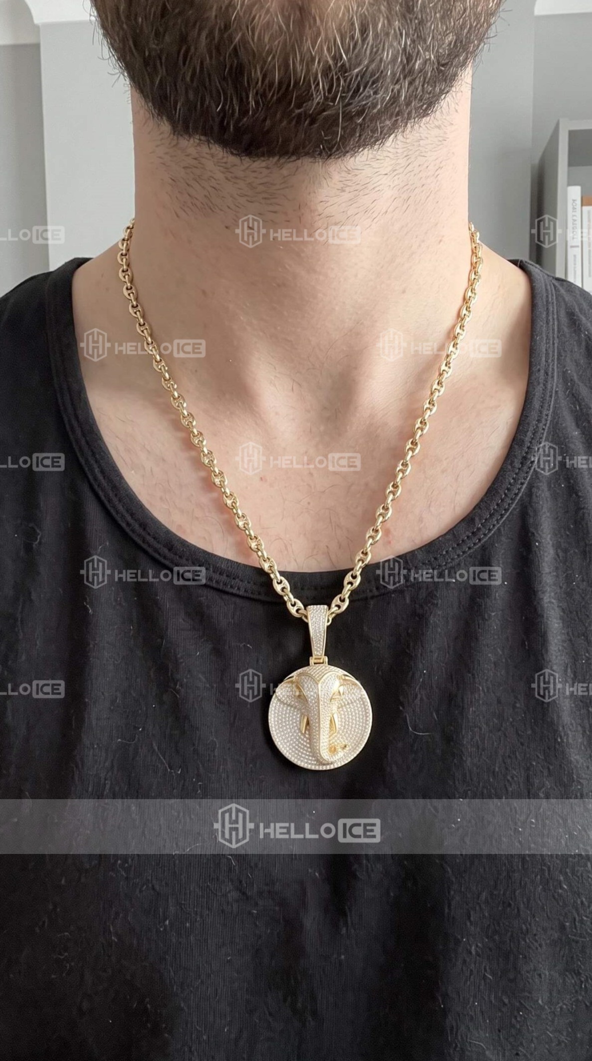 Helloice Review Image