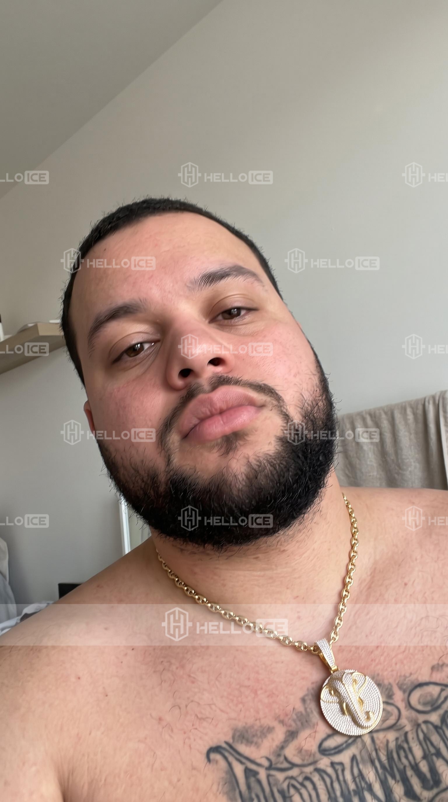 Helloice Review Image