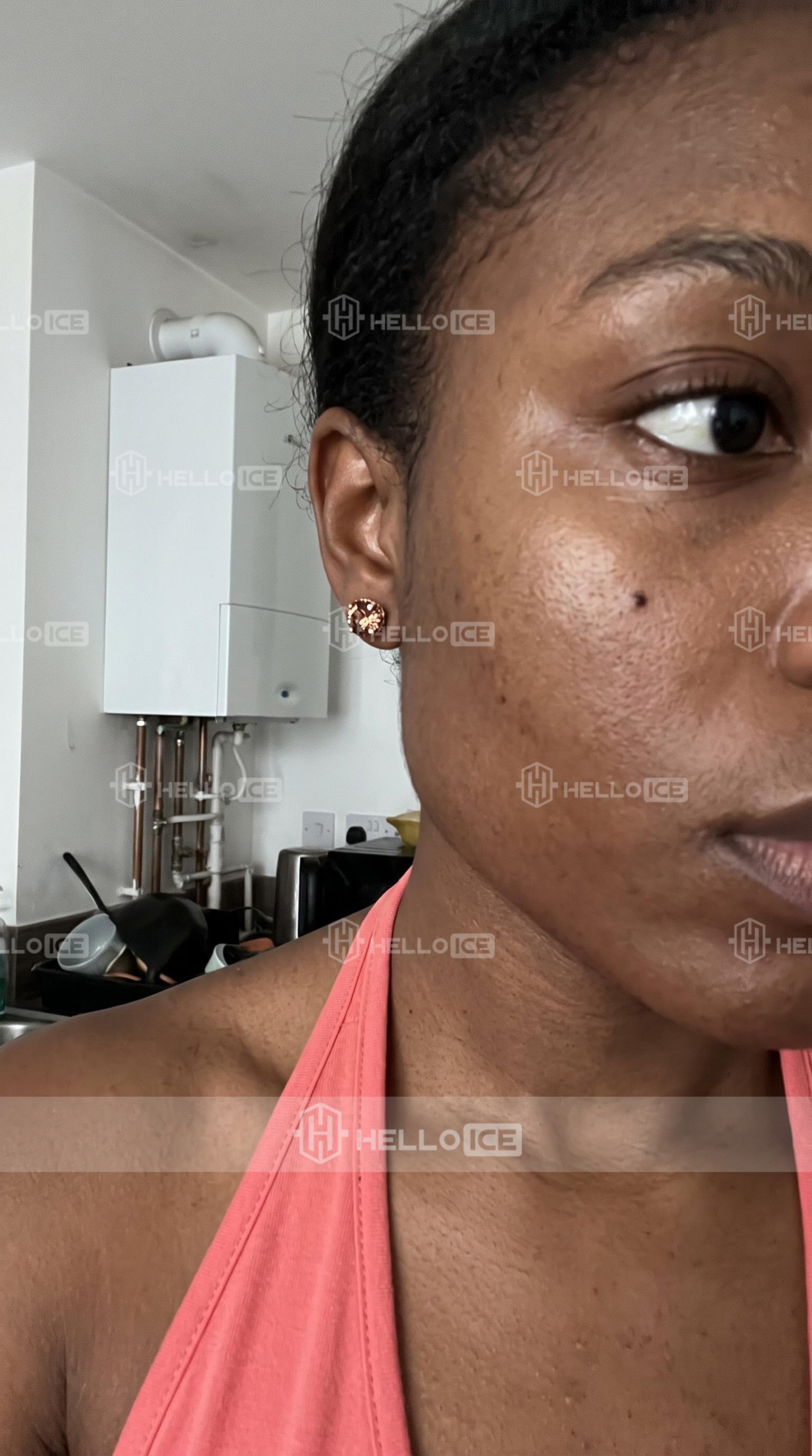 Helloice Review Image