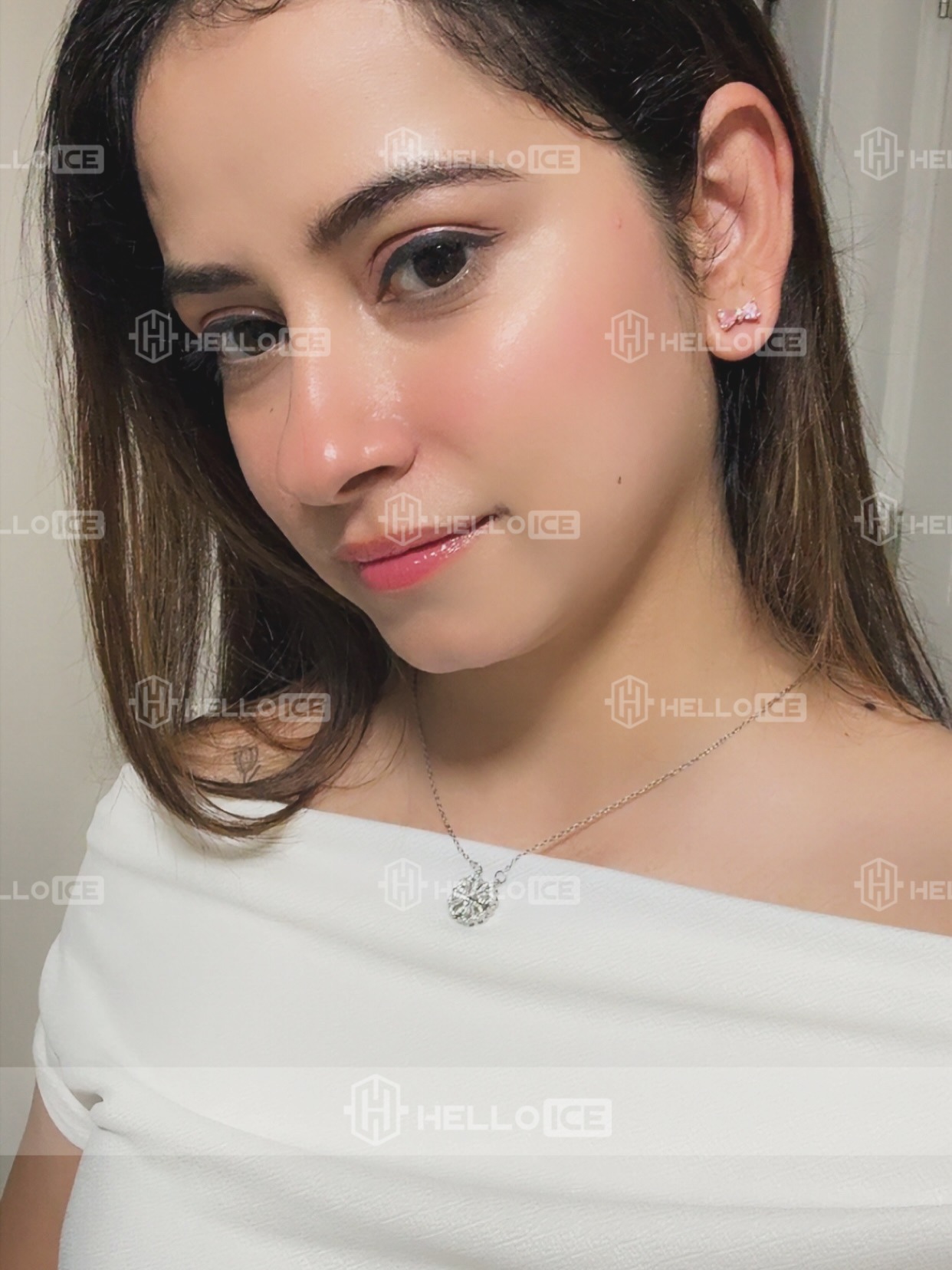 Helloice Review Image