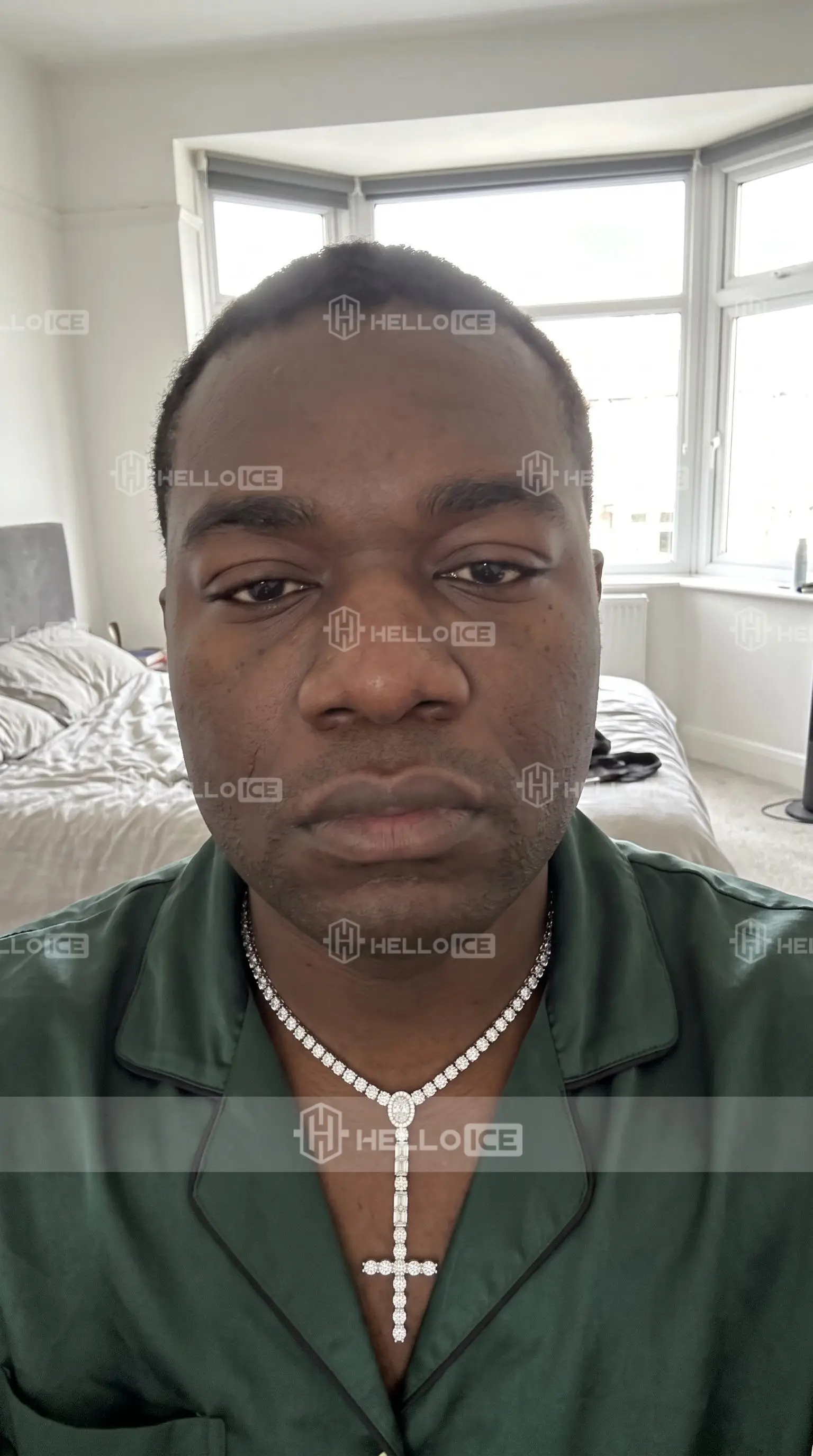 Helloice Review Image