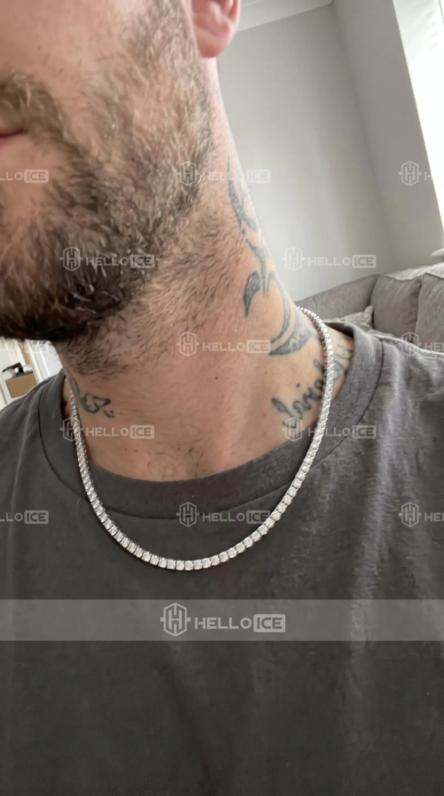 Helloice Review Image