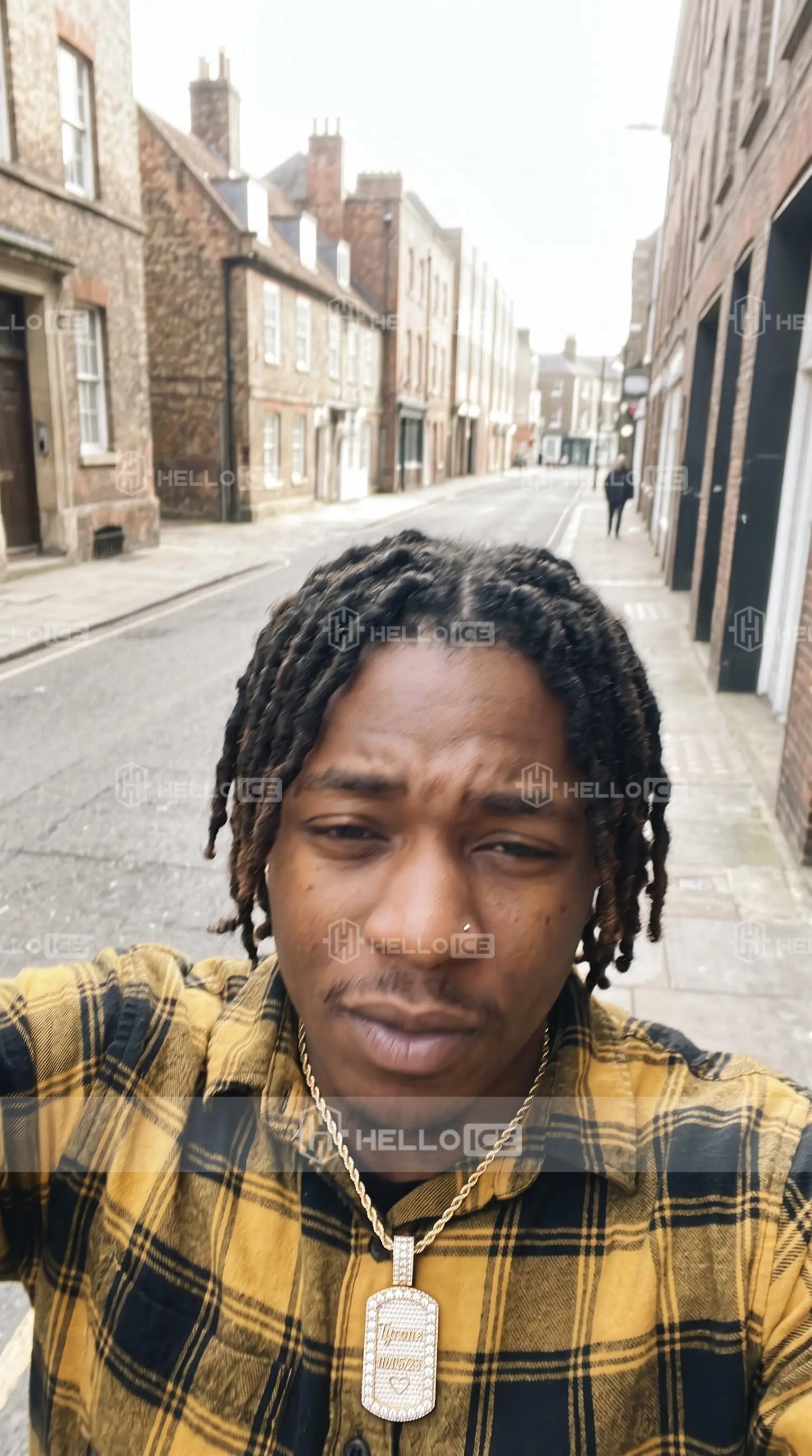 Helloice Review Image