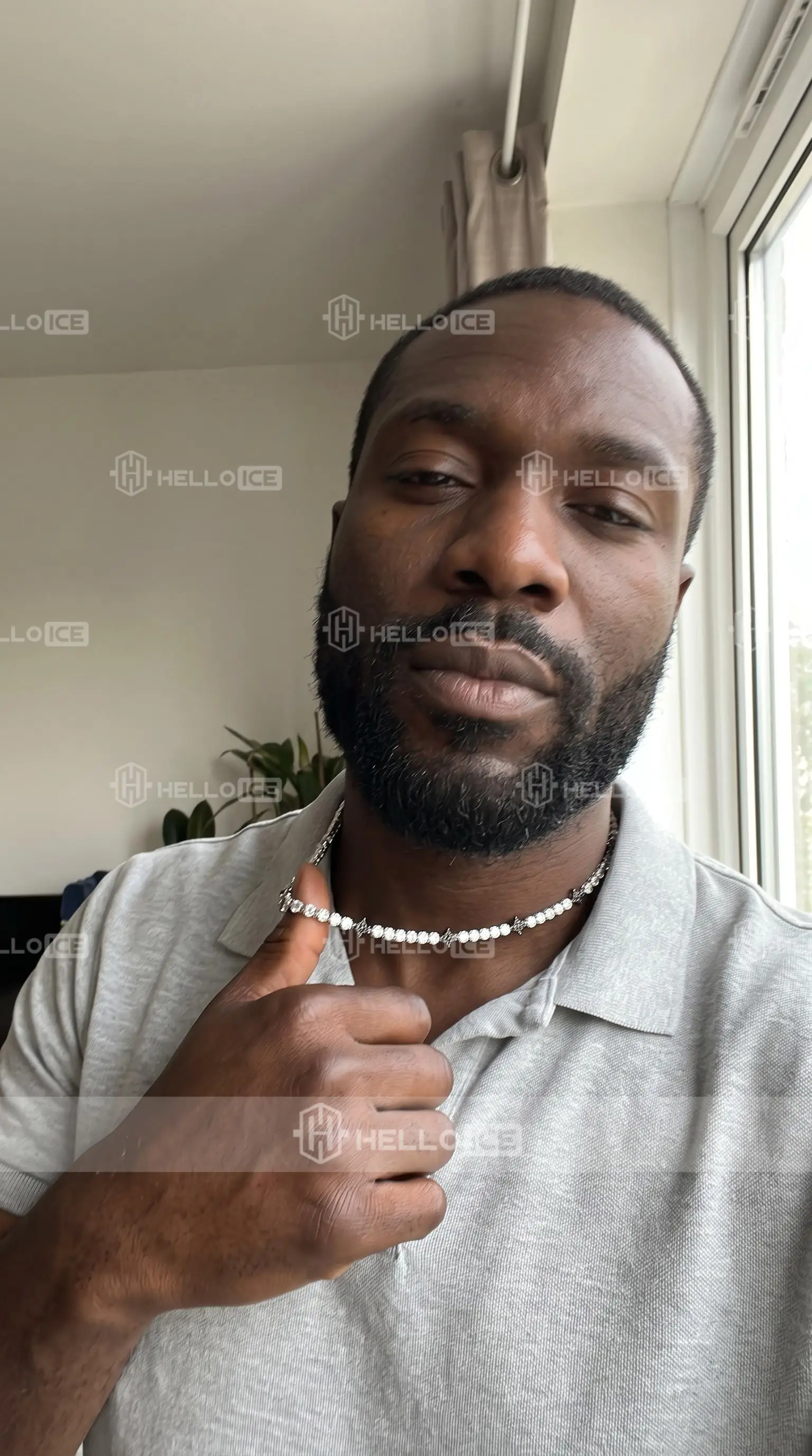 Helloice Review Image