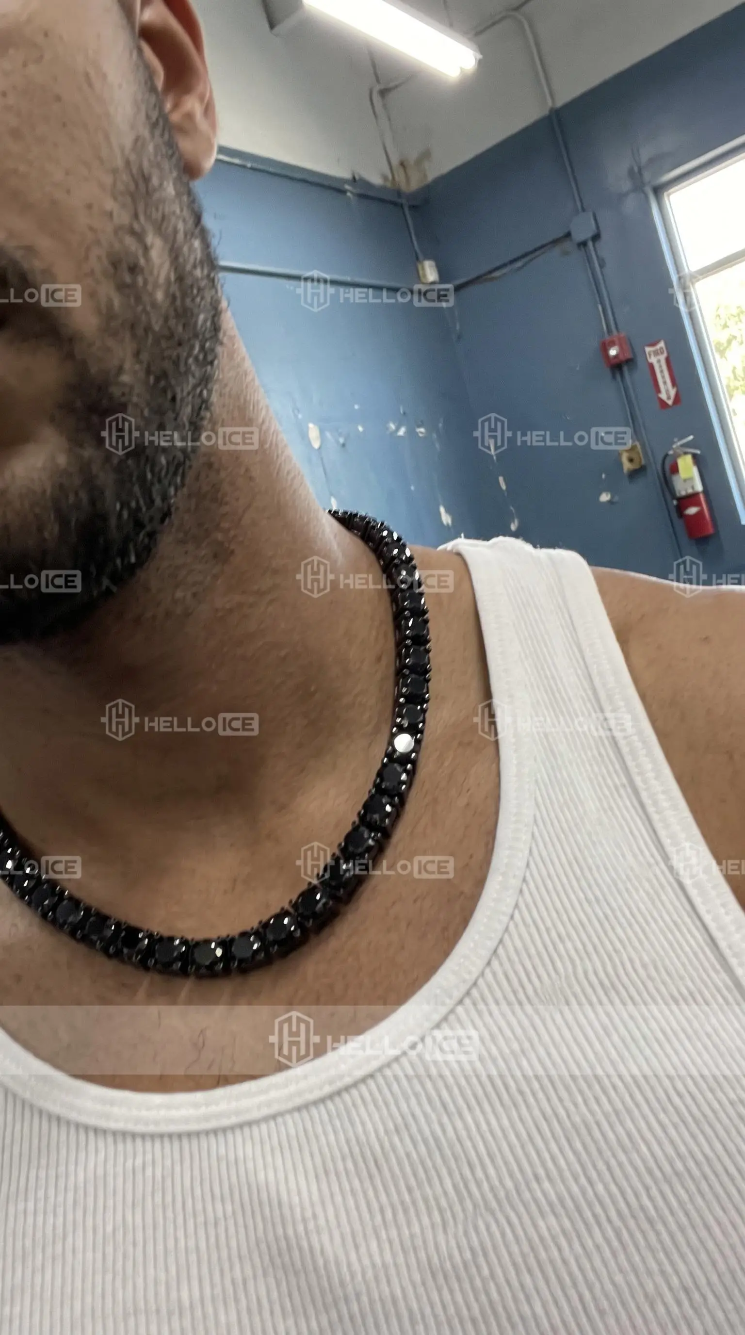 Helloice Review Image