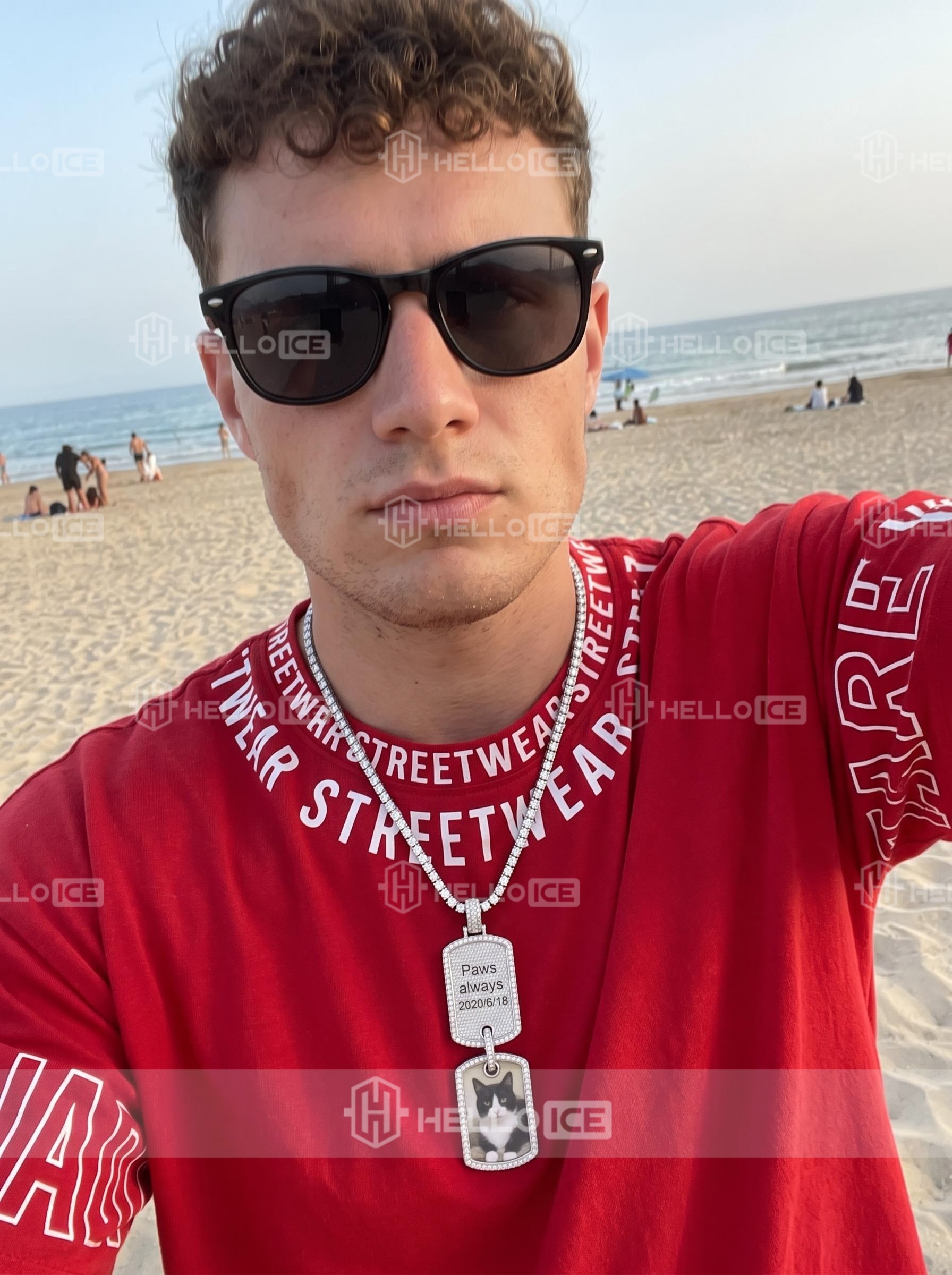 Helloice Review Image
