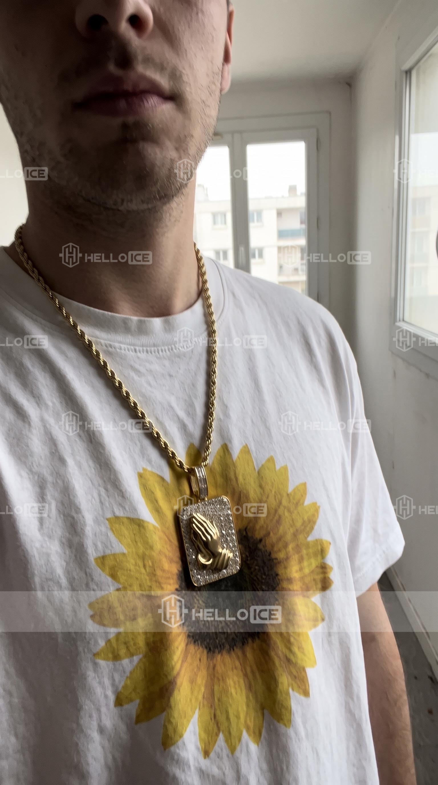 Helloice Review Image