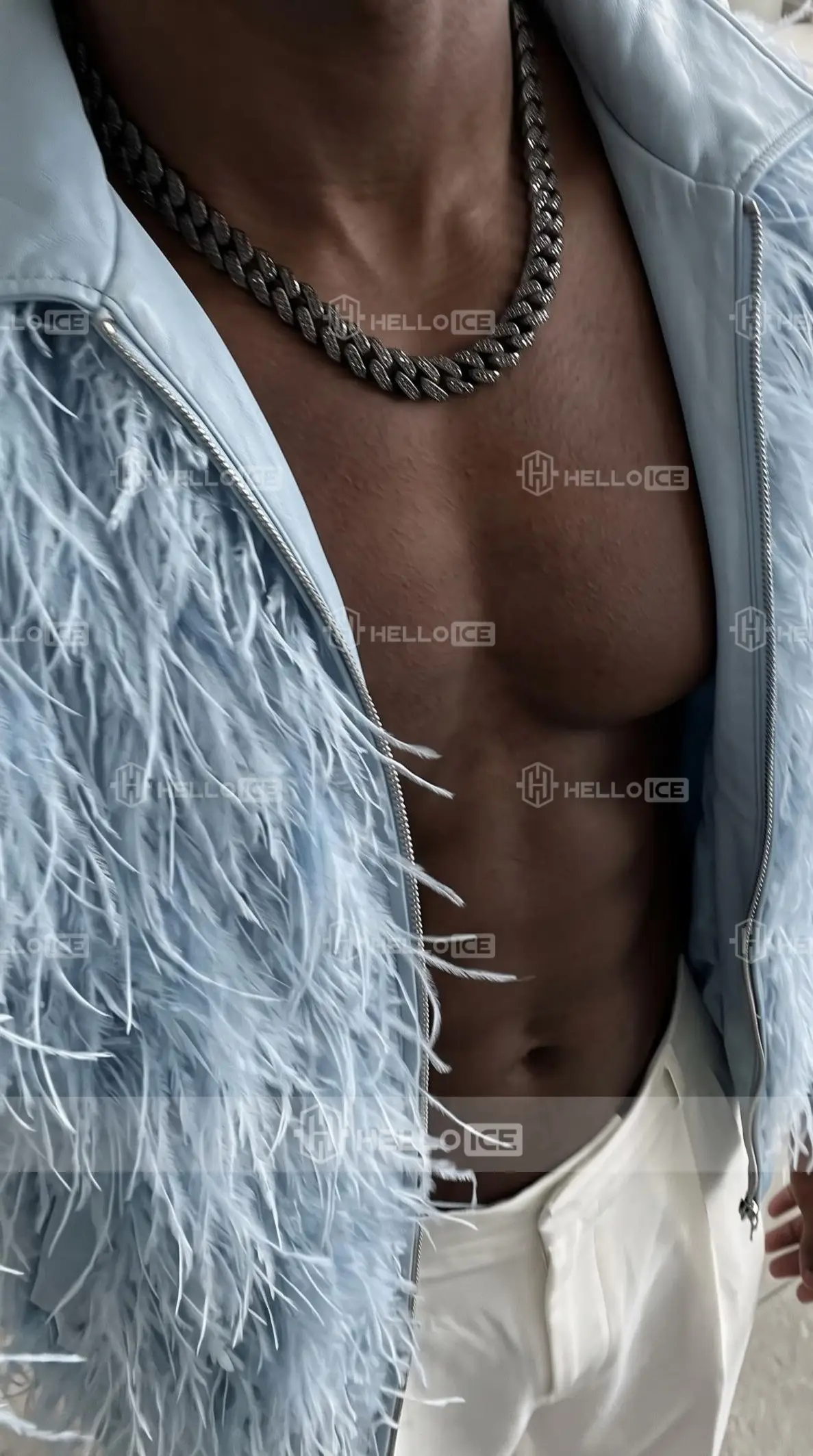 Helloice Review Image
