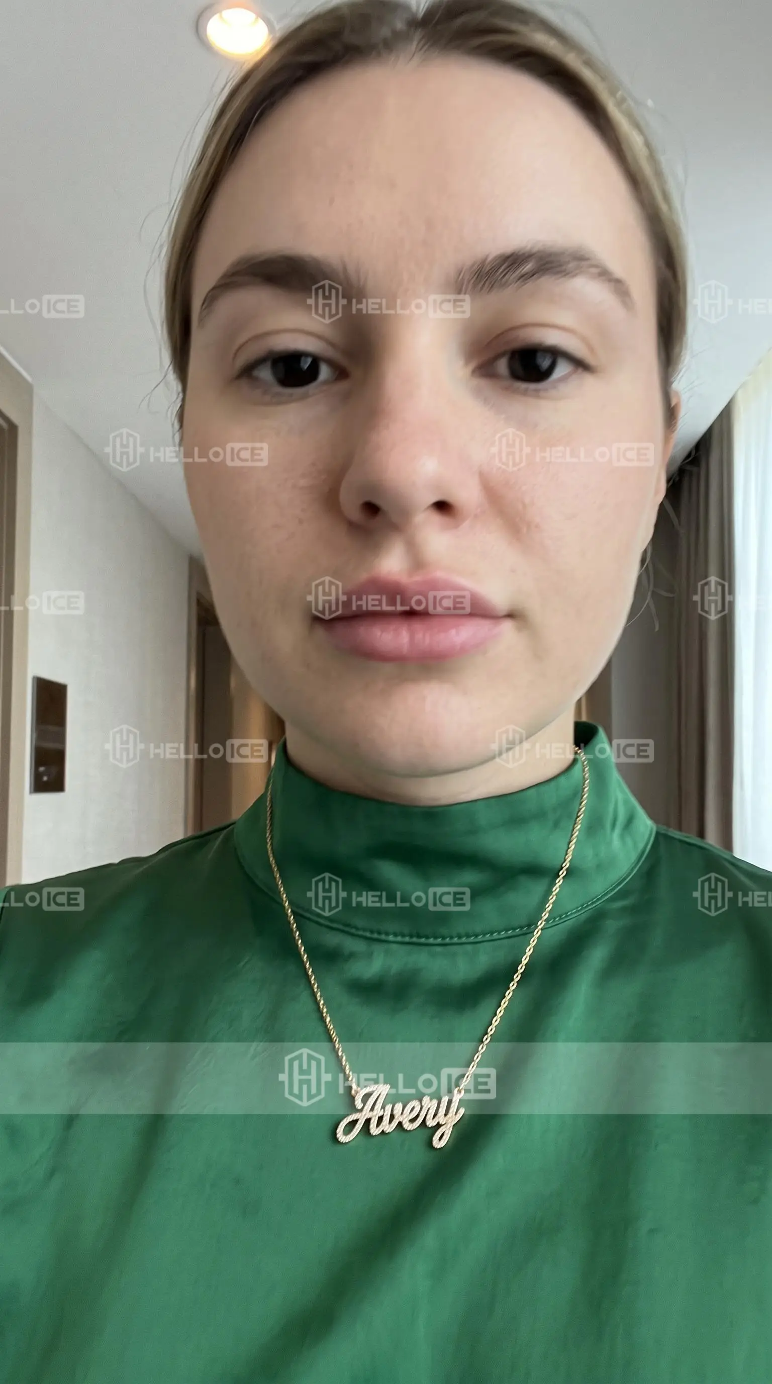 Helloice Review Image