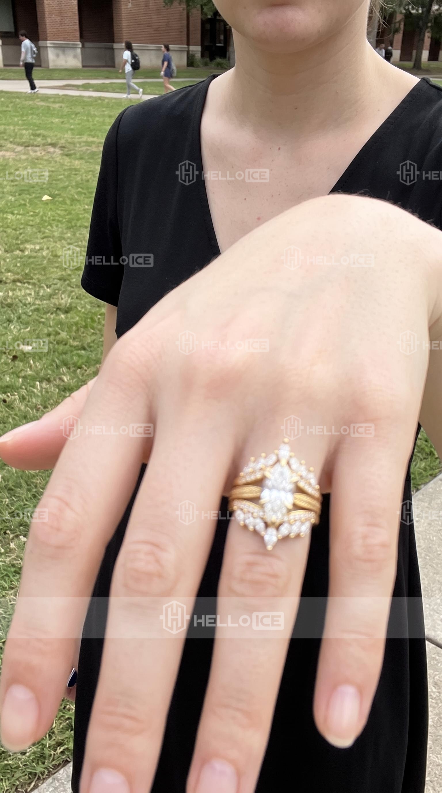 Helloice Review Image