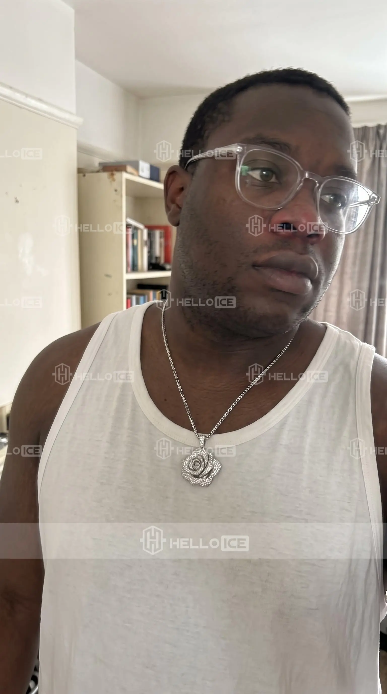 Helloice Review Image