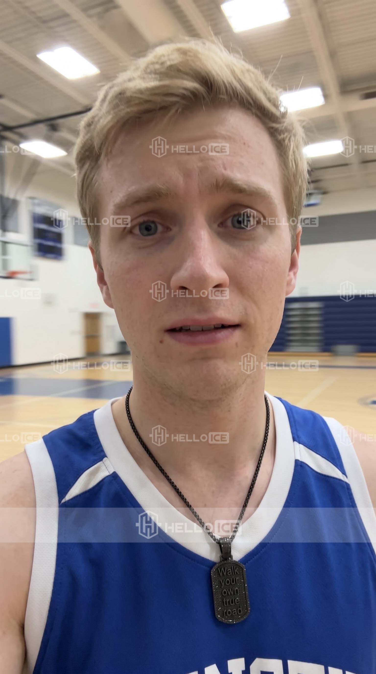 Helloice Review Image