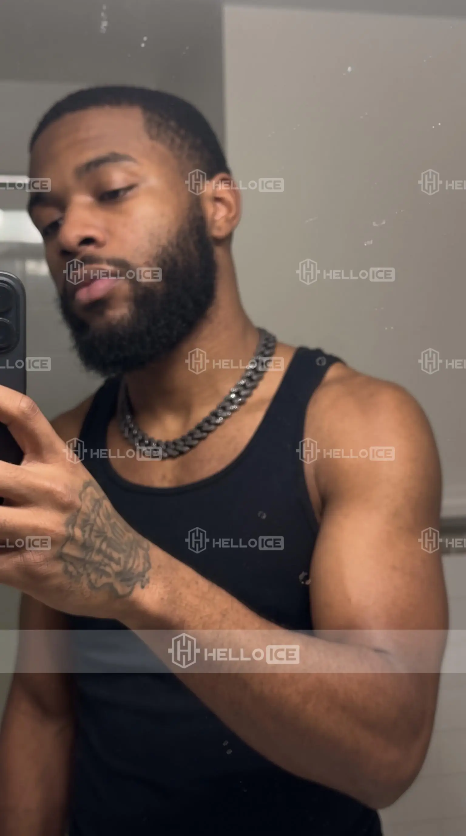 Helloice Review Image