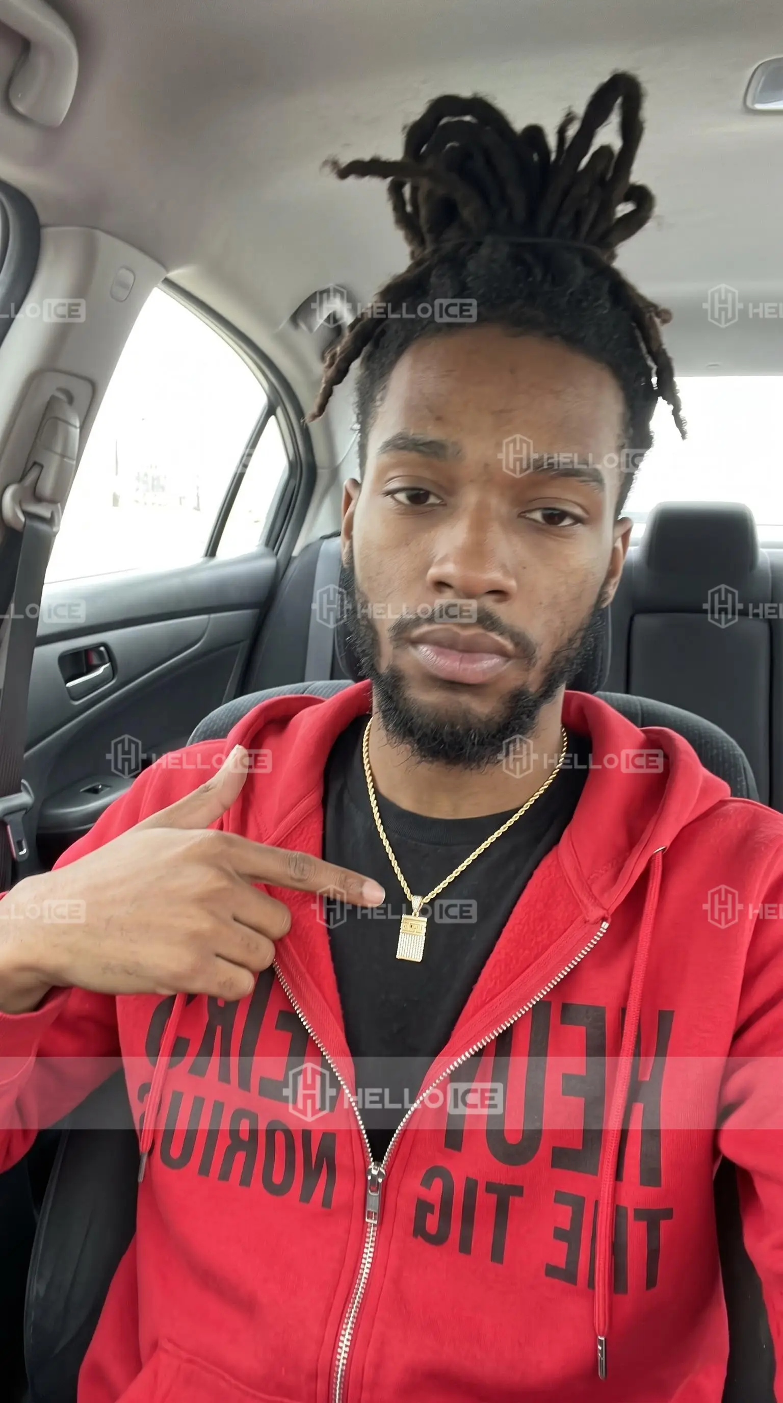 Helloice Review Image