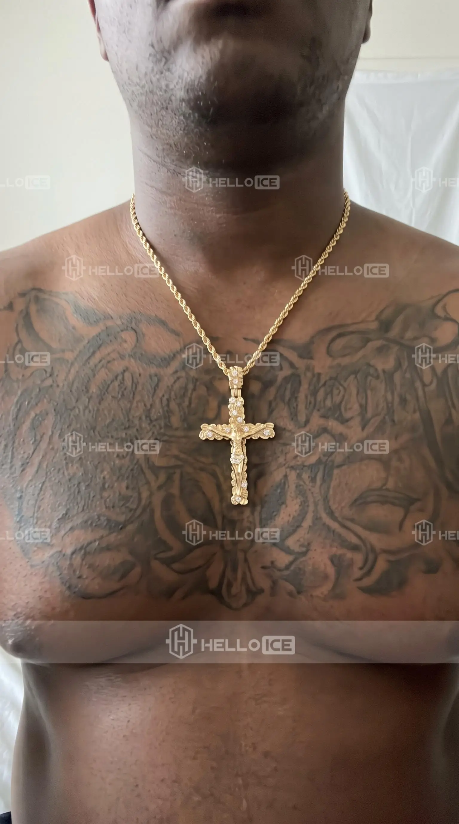 Helloice Review Image
