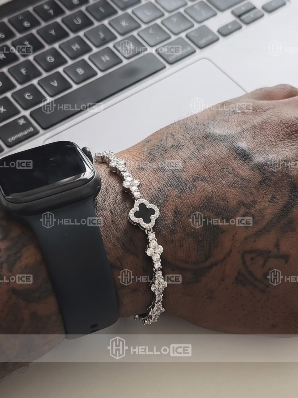 Helloice Review Image
