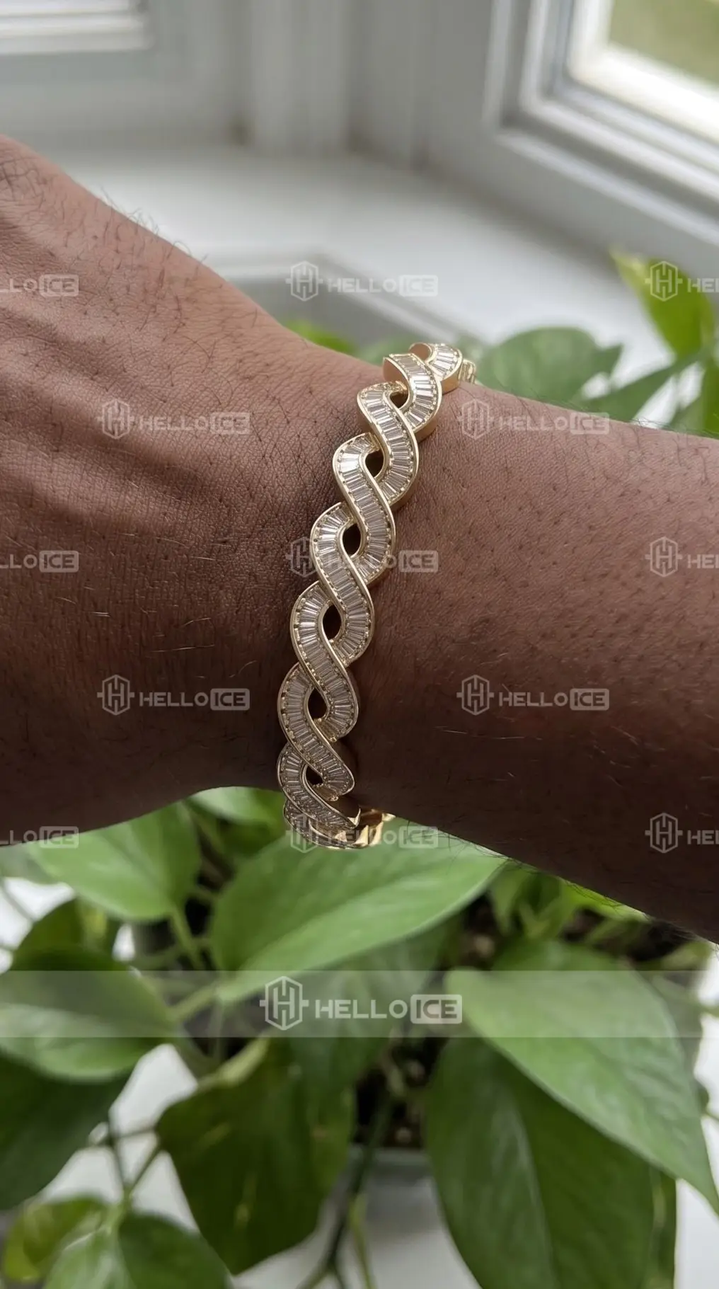 Helloice Review Image