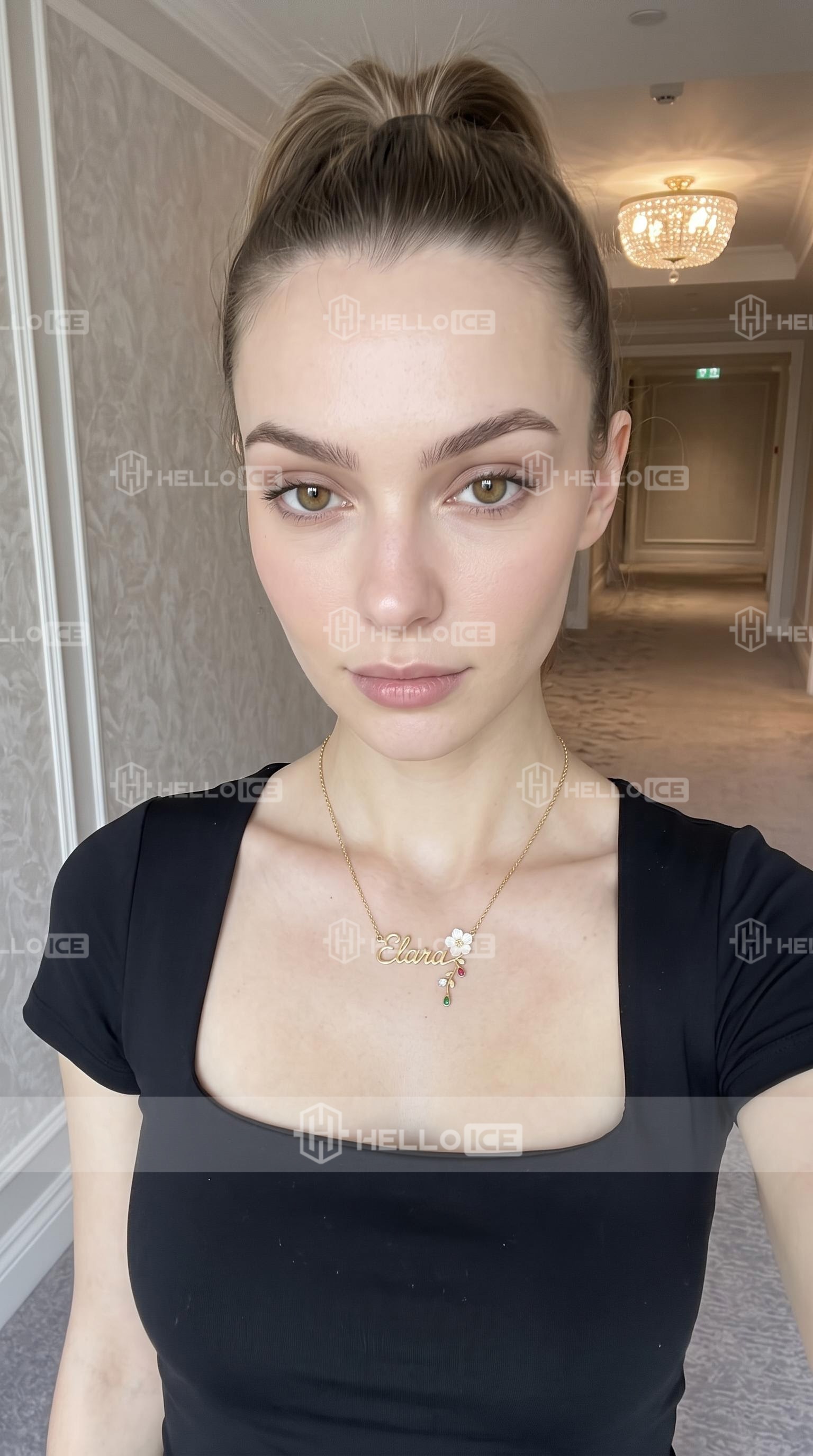 Helloice Review Image