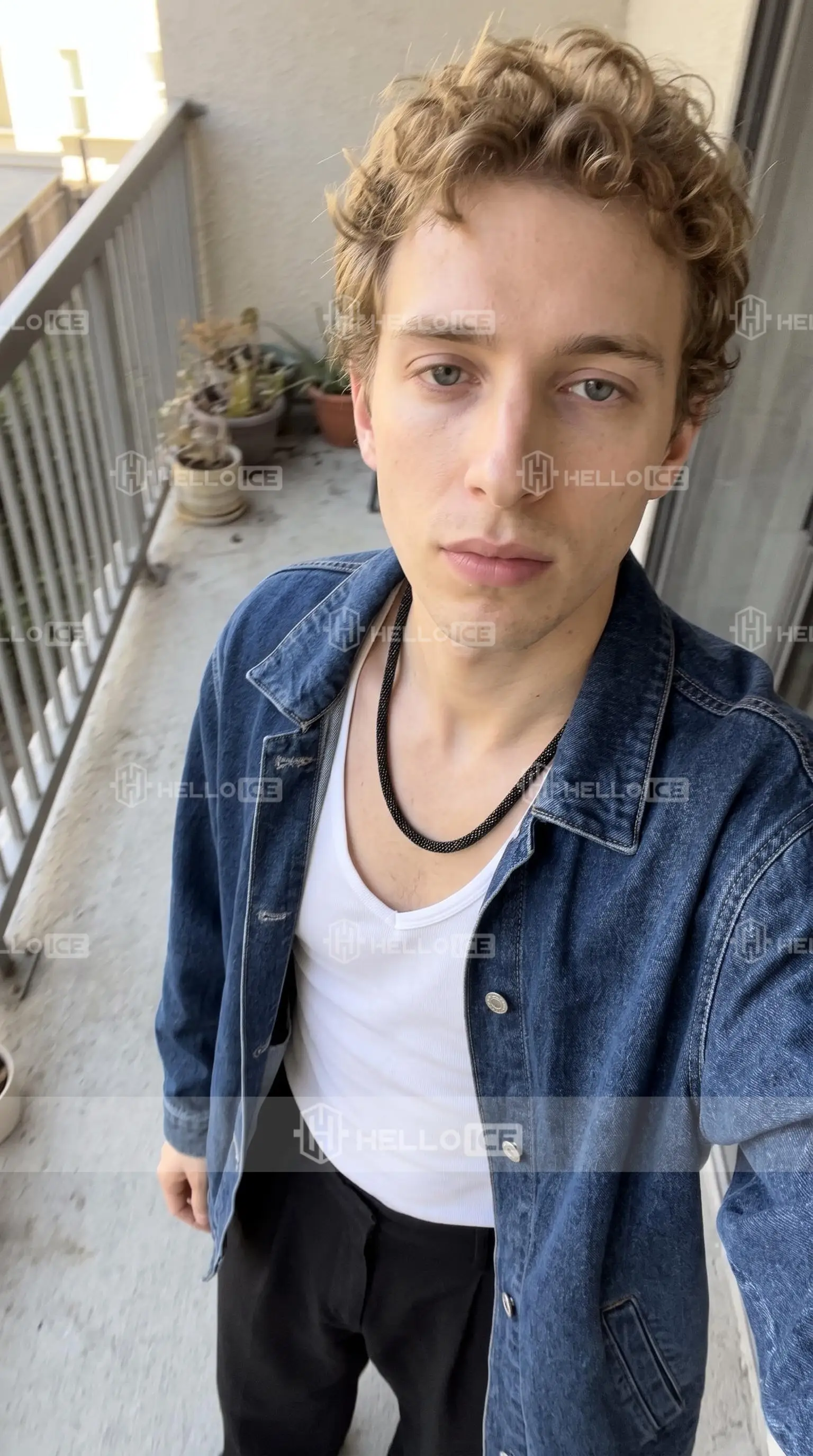 Helloice Review Image